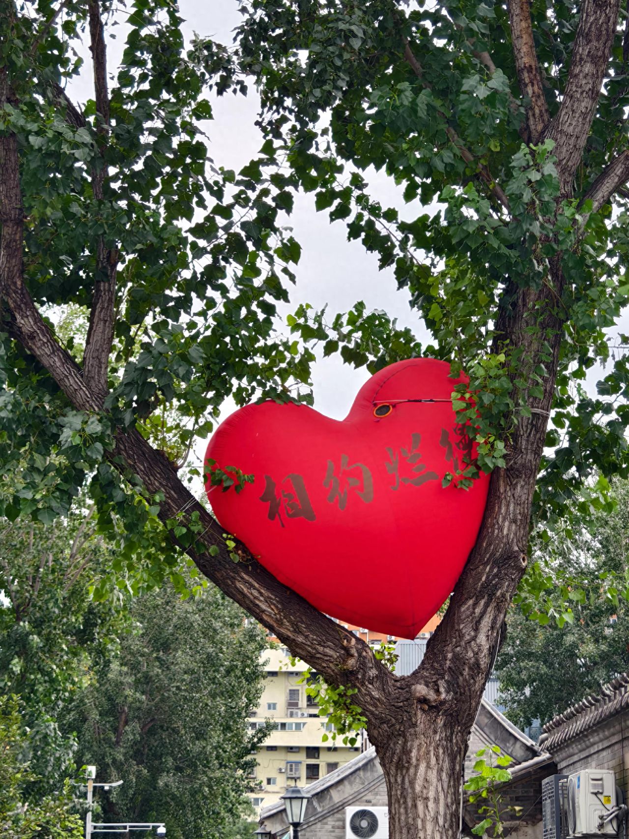 Photo by Lanman Hutong - Meet in the Romantic Heart-shaped Balloons