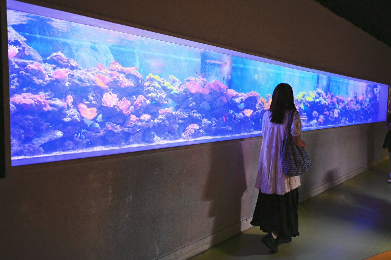 Photo by Beijing Aquarium - Panoramic Exhibit Tank