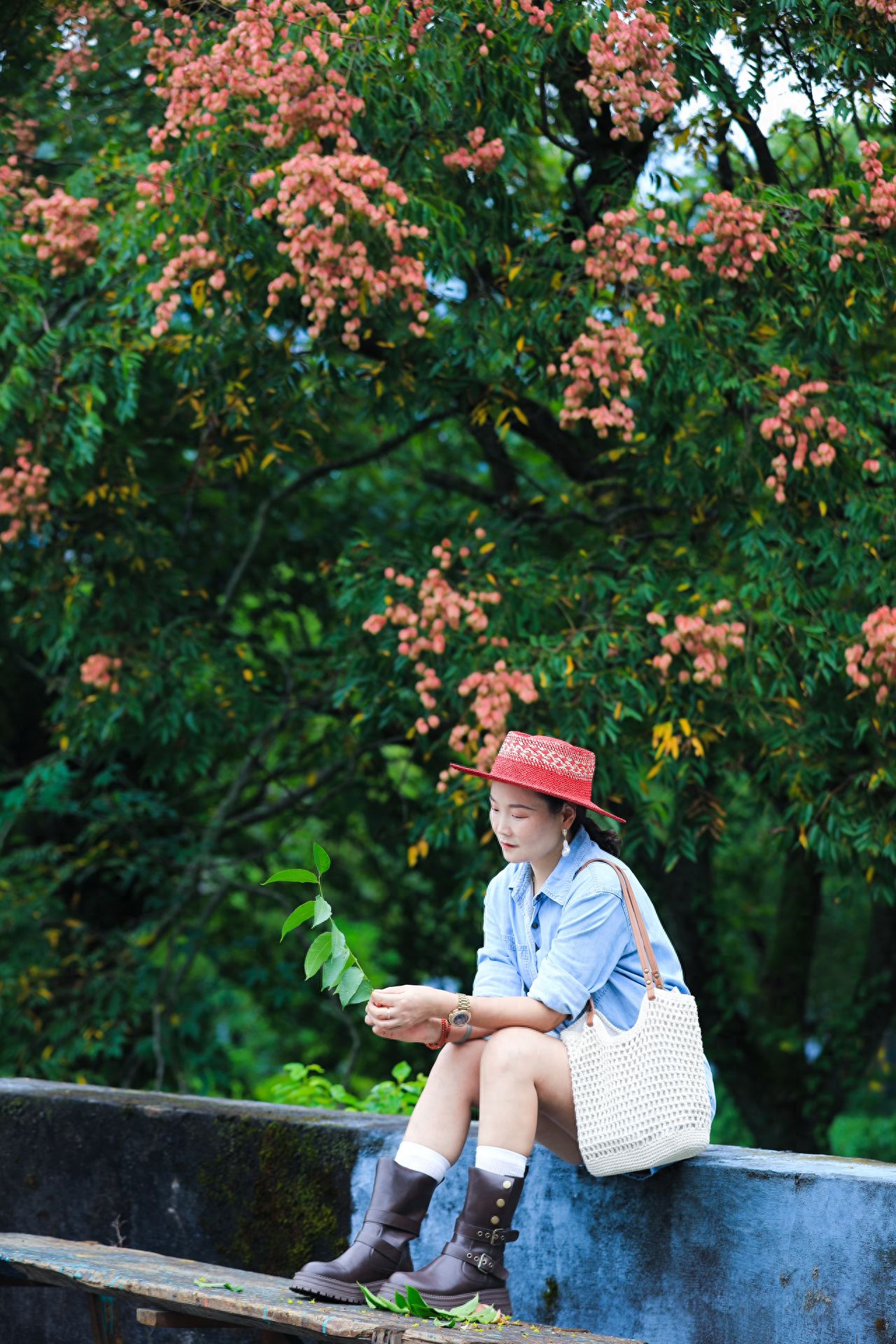 Composition Techniques: The photographer stands in front of and to the side of the model, capturing from a horizontal perspective. Utilize a standard lens to authentically reproduce the model's posture, the details of the trees, and the spatial relationship of the terrace, accurately presenting the proportion of elements and the spatial hierarchy of the landscape. Photography Suggestions: ① In September, the goldenrain tree is at its peak yellow, and in October, its fruits gradually turn pink; pay attention to the timing if you want to take photos. ② Be mindful of safety when taking photos by the roadside.