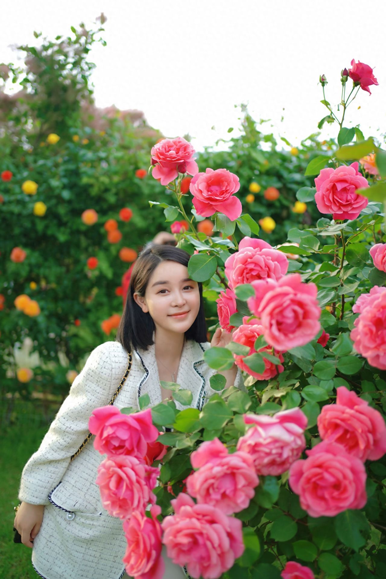 Photo by Beijing Blue Harbor - Rose Flower Wall