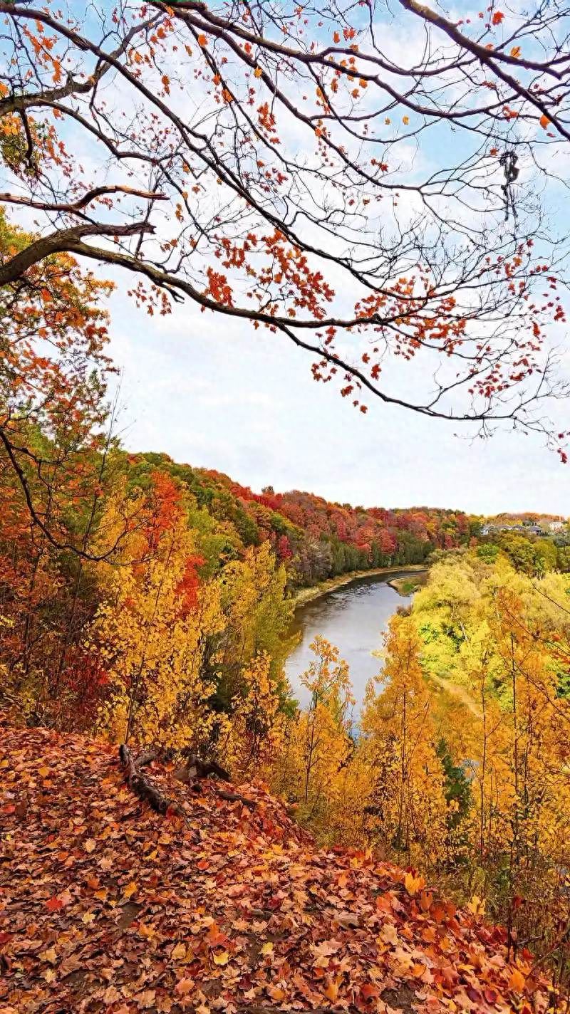 Photo by Beijing Xiangshan Park - Fallen Leaves, Streams, and Forests