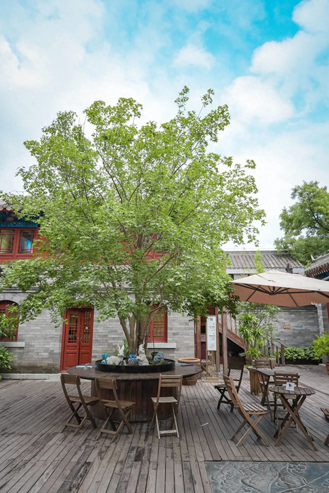 Photo spot in Gudosisun  , China