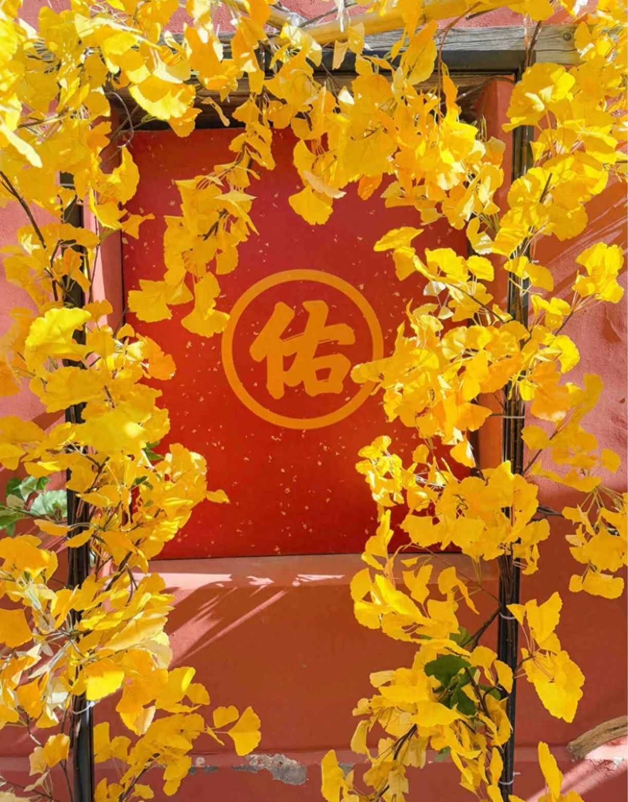 Photo by Tanzhe Temple - Golden Ginkgo Leaves and the "You" Character on the Wall