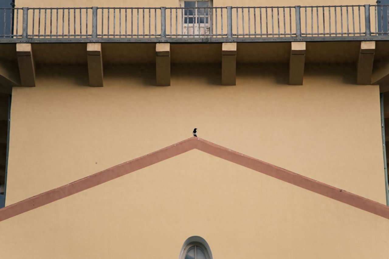 Photo by Space 491 - Capture the yellow walls and balconies.