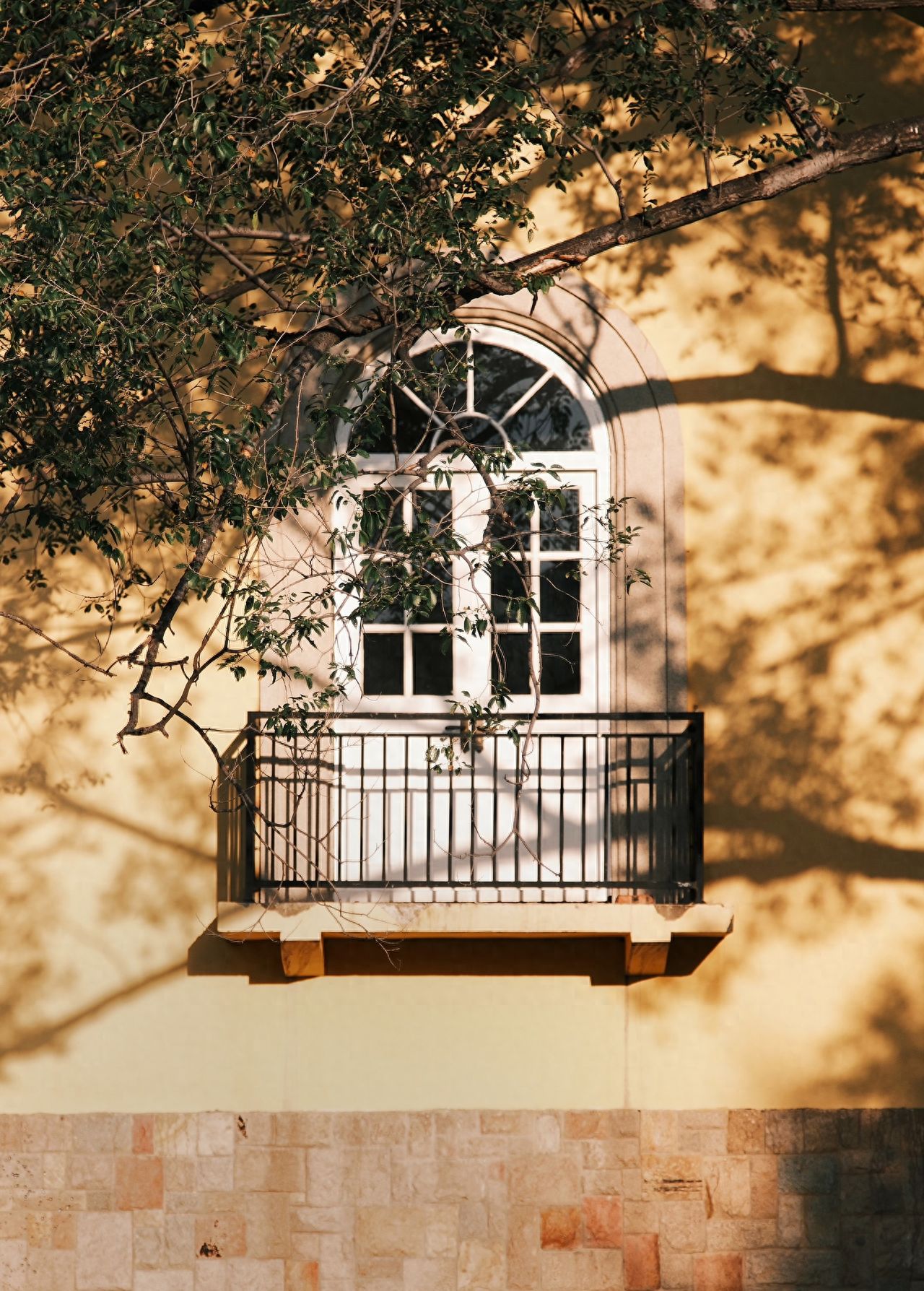 Photo by 491 Space - Yellow Wall with White Door Frame and Tree Branches