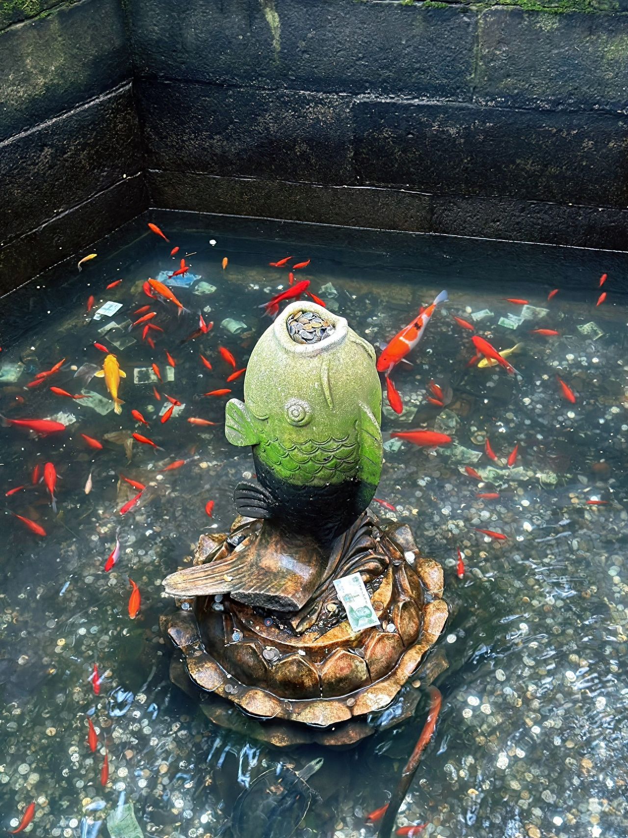 Photo by Tanzhe Temple Scenic Area - Stone Fish Sculpture and Goldfish Pond