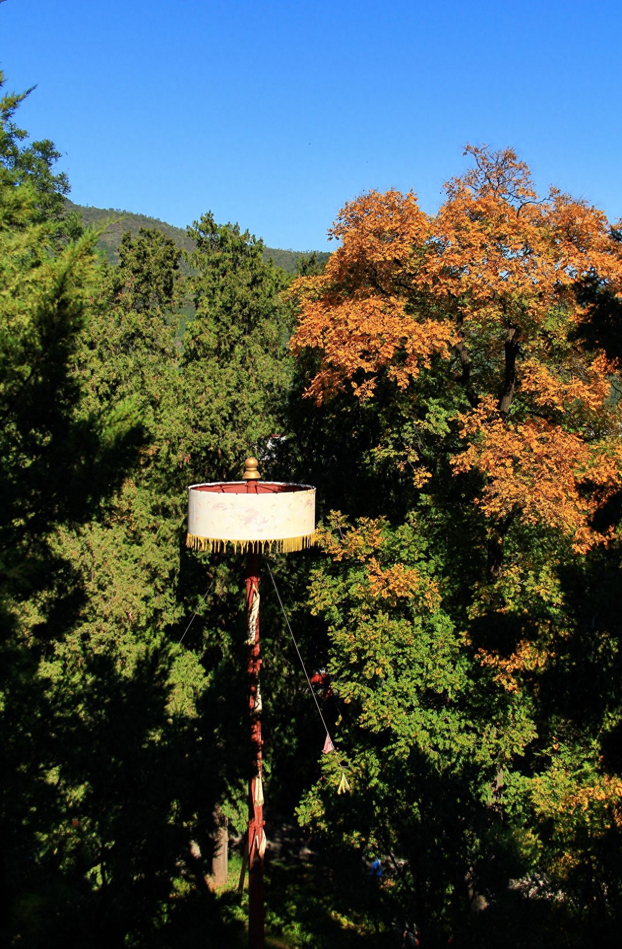 Photo by Beijing Xiangshan Park - Incense Burner and Autumn Foliage