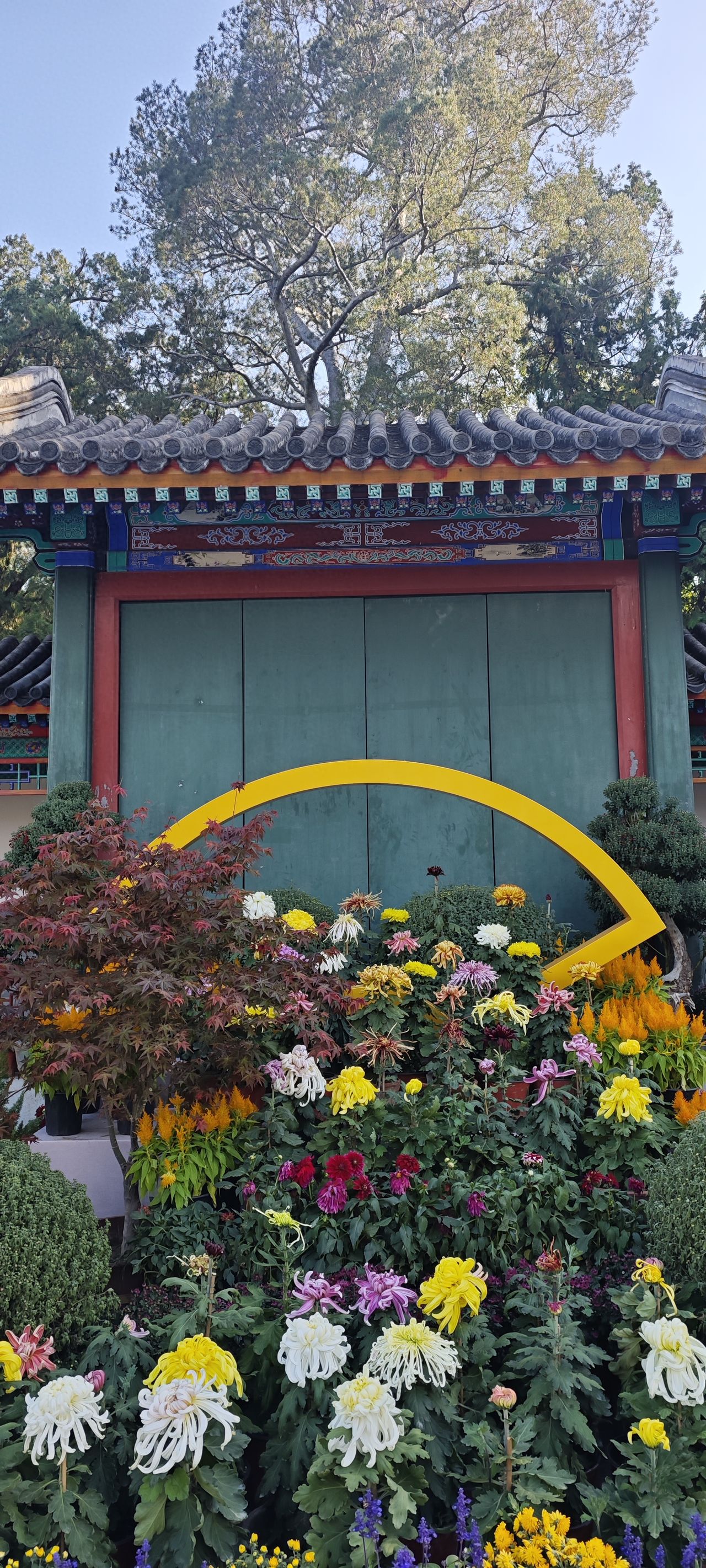 Photo by Fragrant Hills Park in Beijing - Chrysanthemum flower bed in front of the Green Cottage