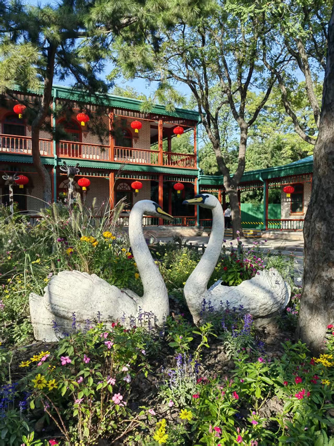 Photo by Beijing Zoo - Photographing Swan Sculptures and Architecture