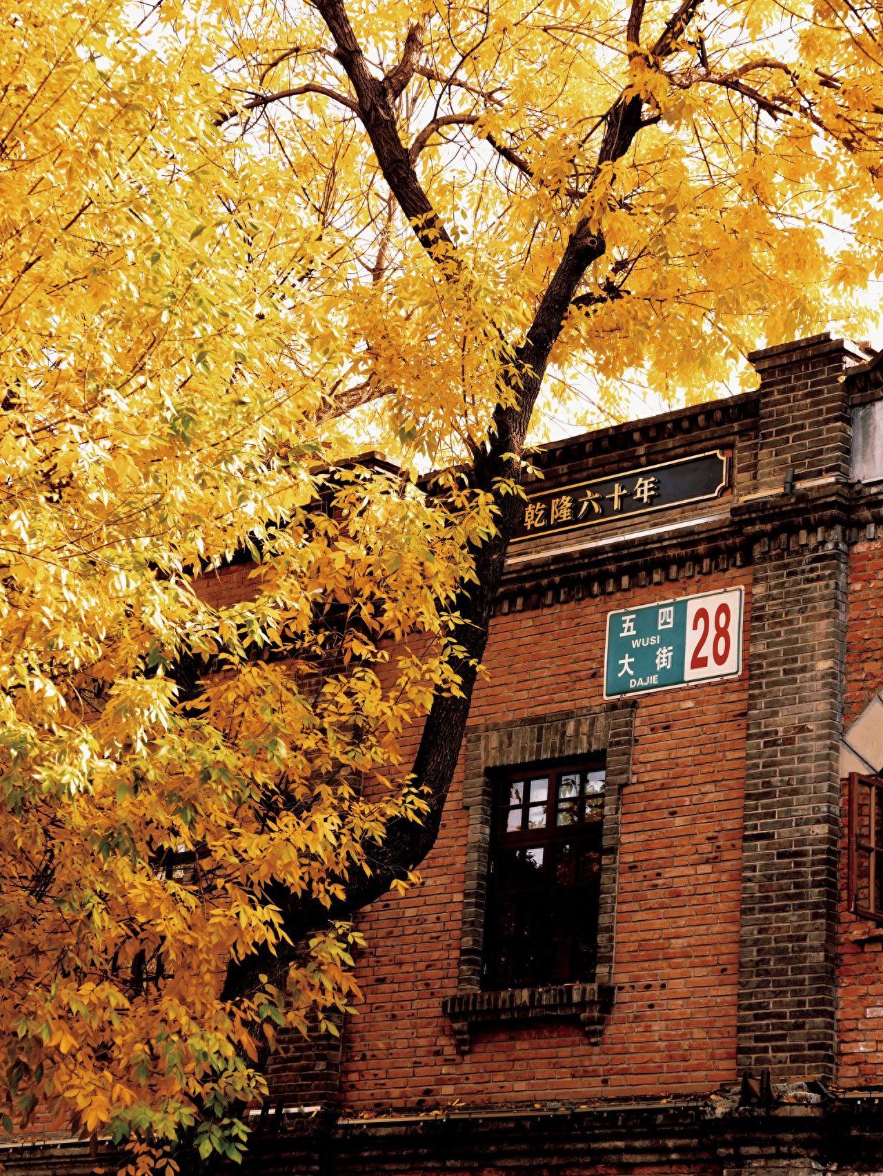 Photo by Beijing May 4th Street - Building No. 28 on May 4th Street and its surrounding trees.