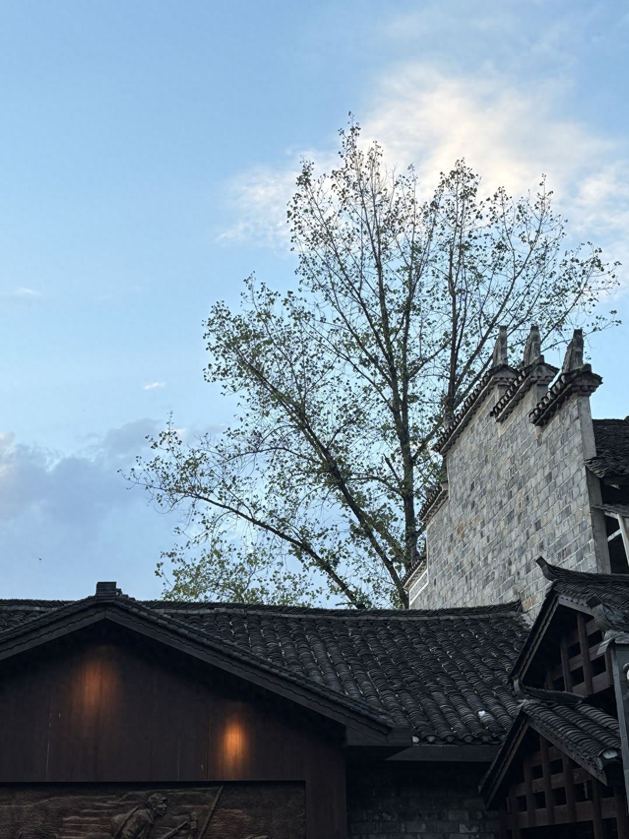 Photo by Biancheng Cha Deng - Horse Head Walls and Blue Tile Architecture