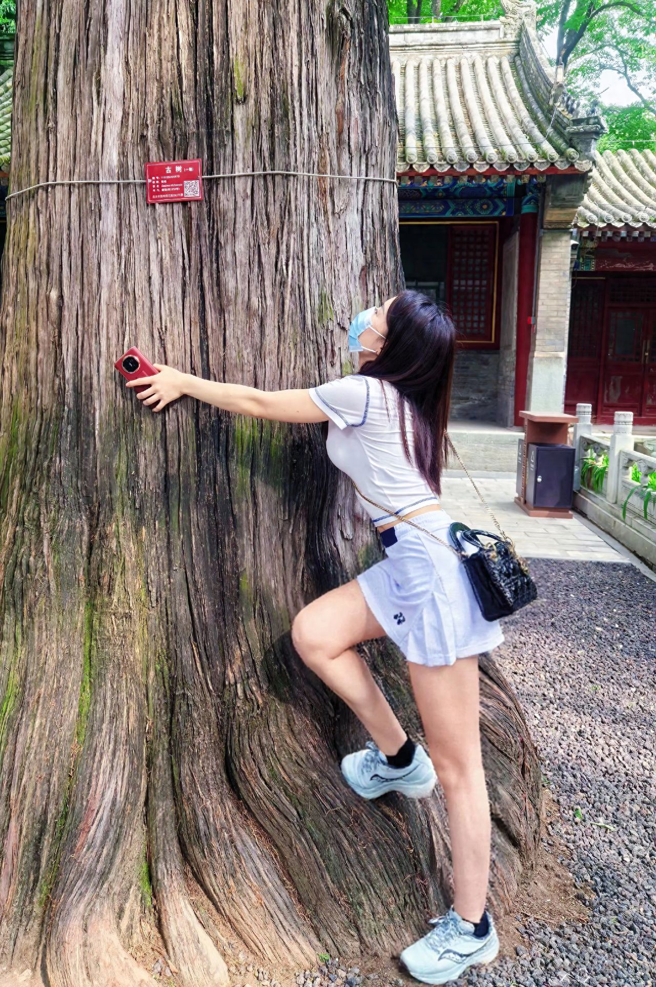 Photo by Tanzhe Temple - Take a photo with the giant ancient trees.