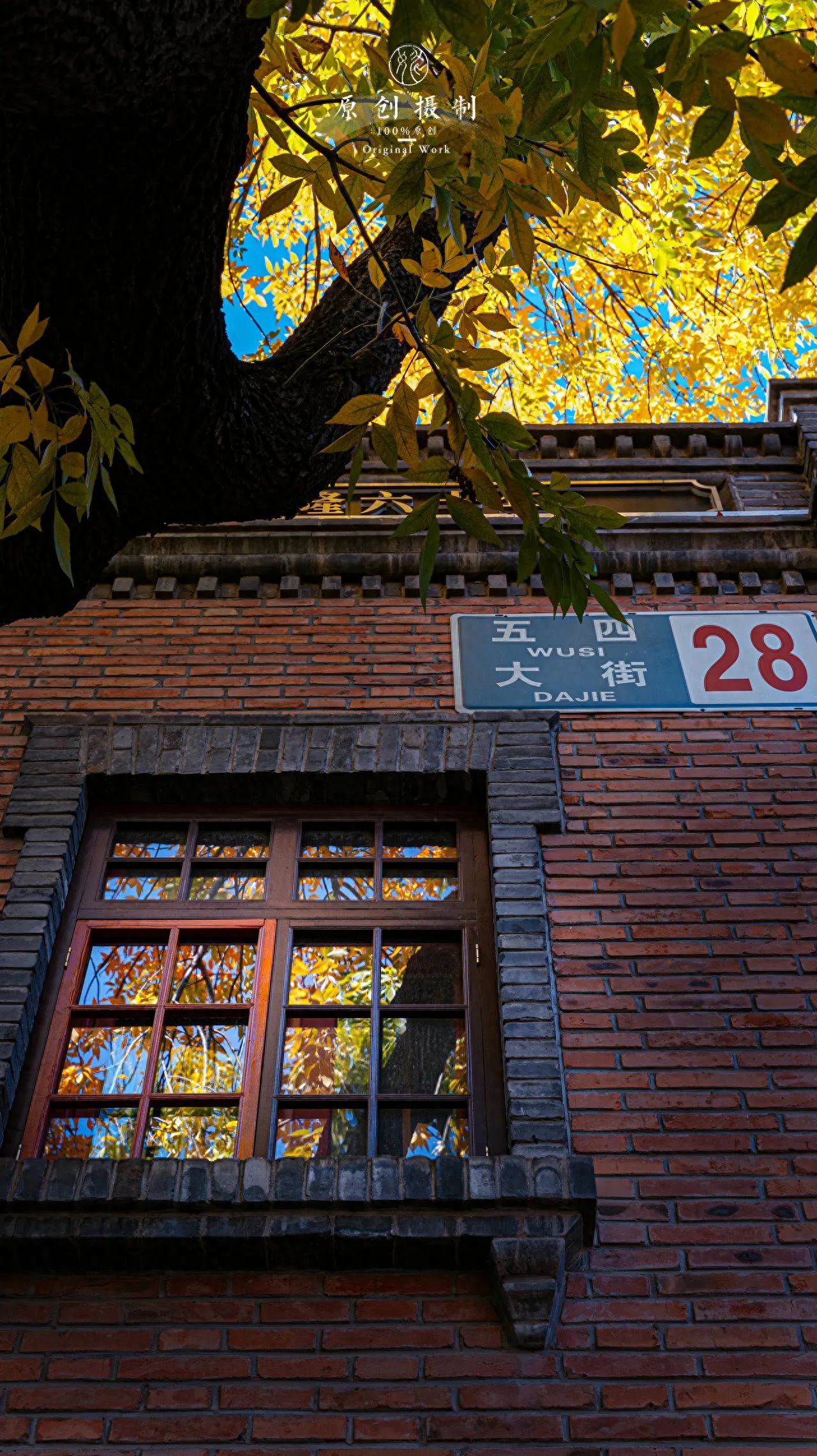 Photo by Beijing May 4th Street - Wax Tree and Partial View of Building No. 28