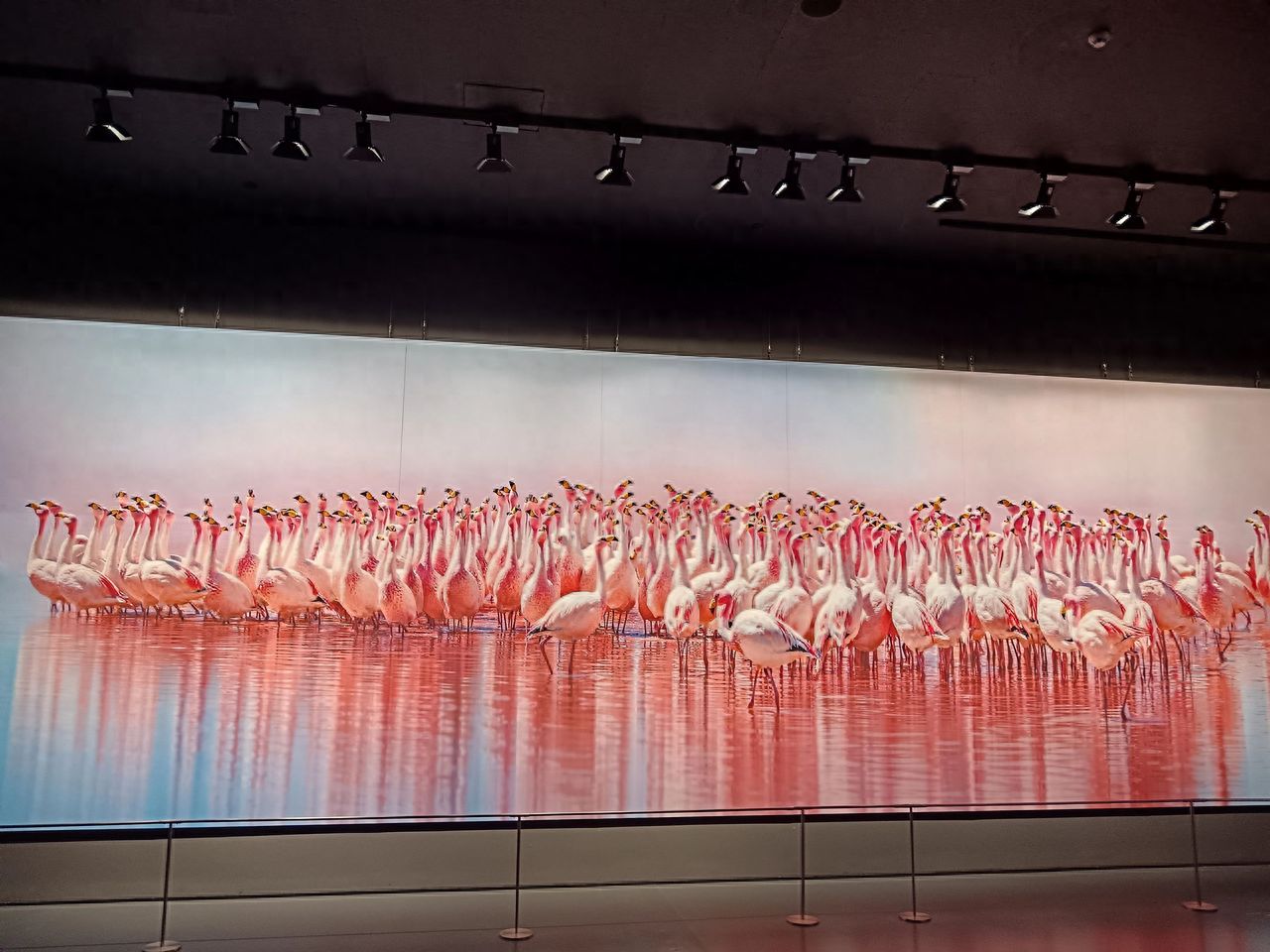 Photo by Luo Hong Photography Art Museum - Flamingo Photography Works