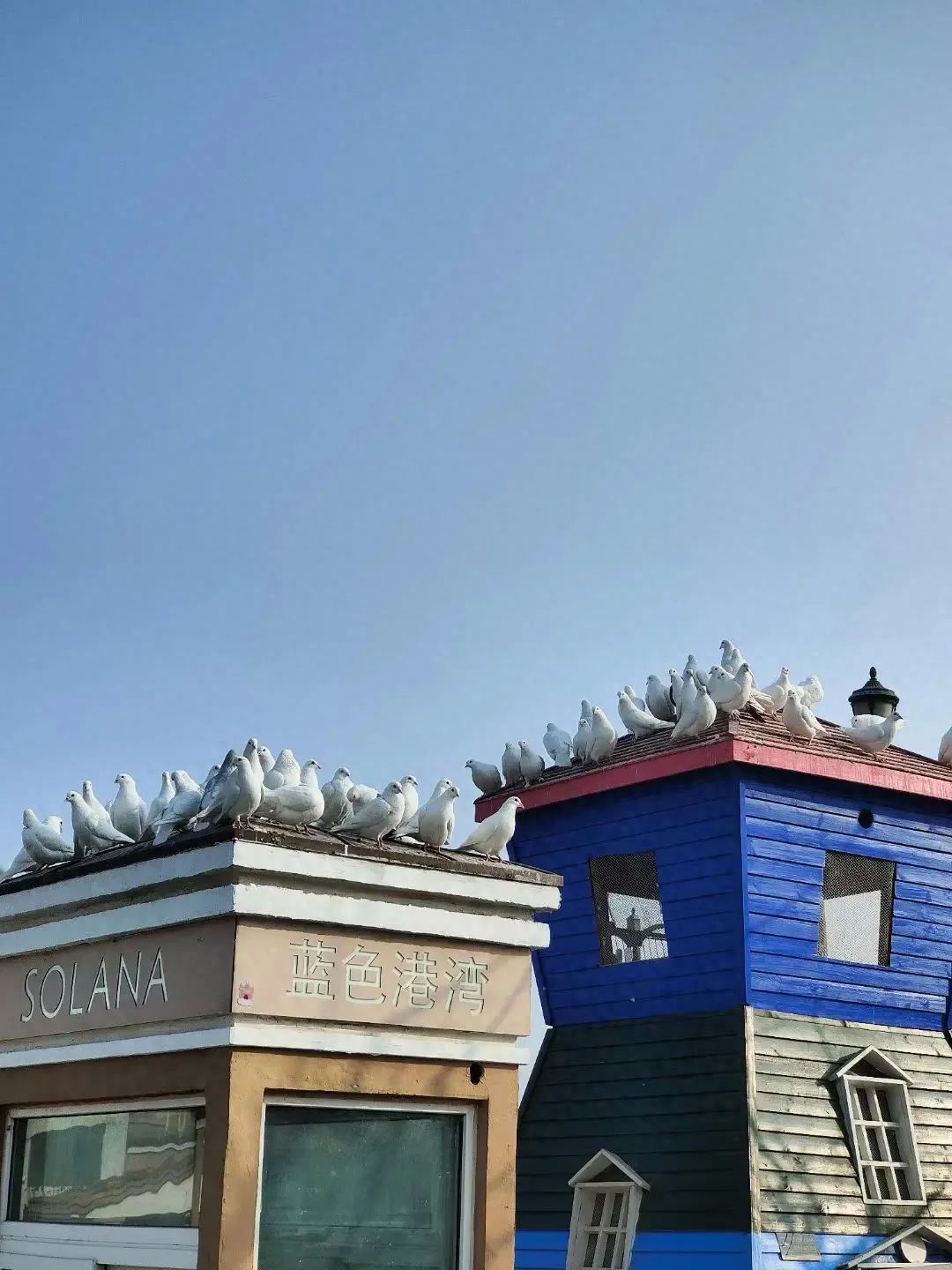 Photo by Blue Harbor - Blue House