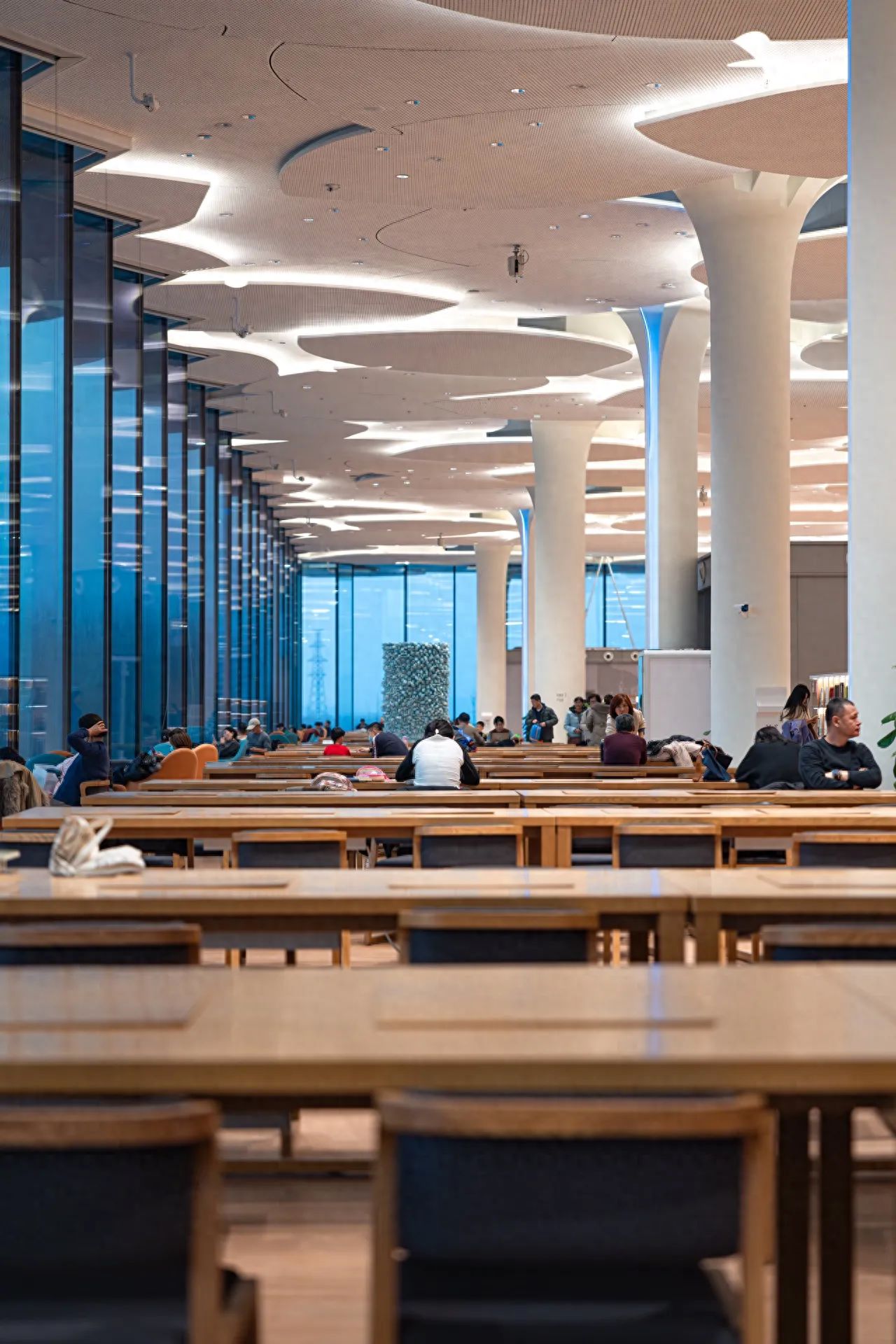 Photo spot in Beijing City Library  , China