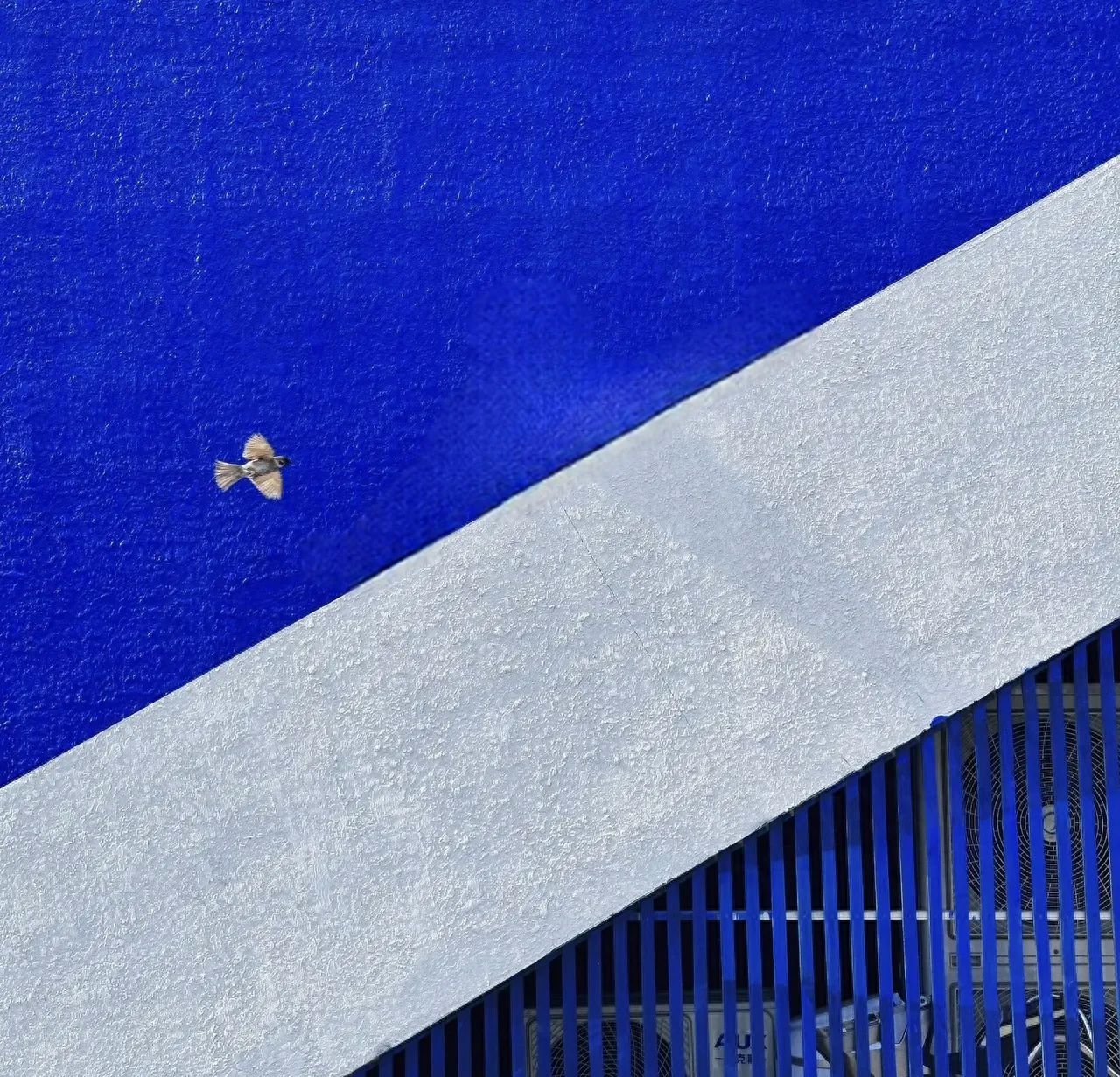 Photo by 491 Space - Blue and White Walls