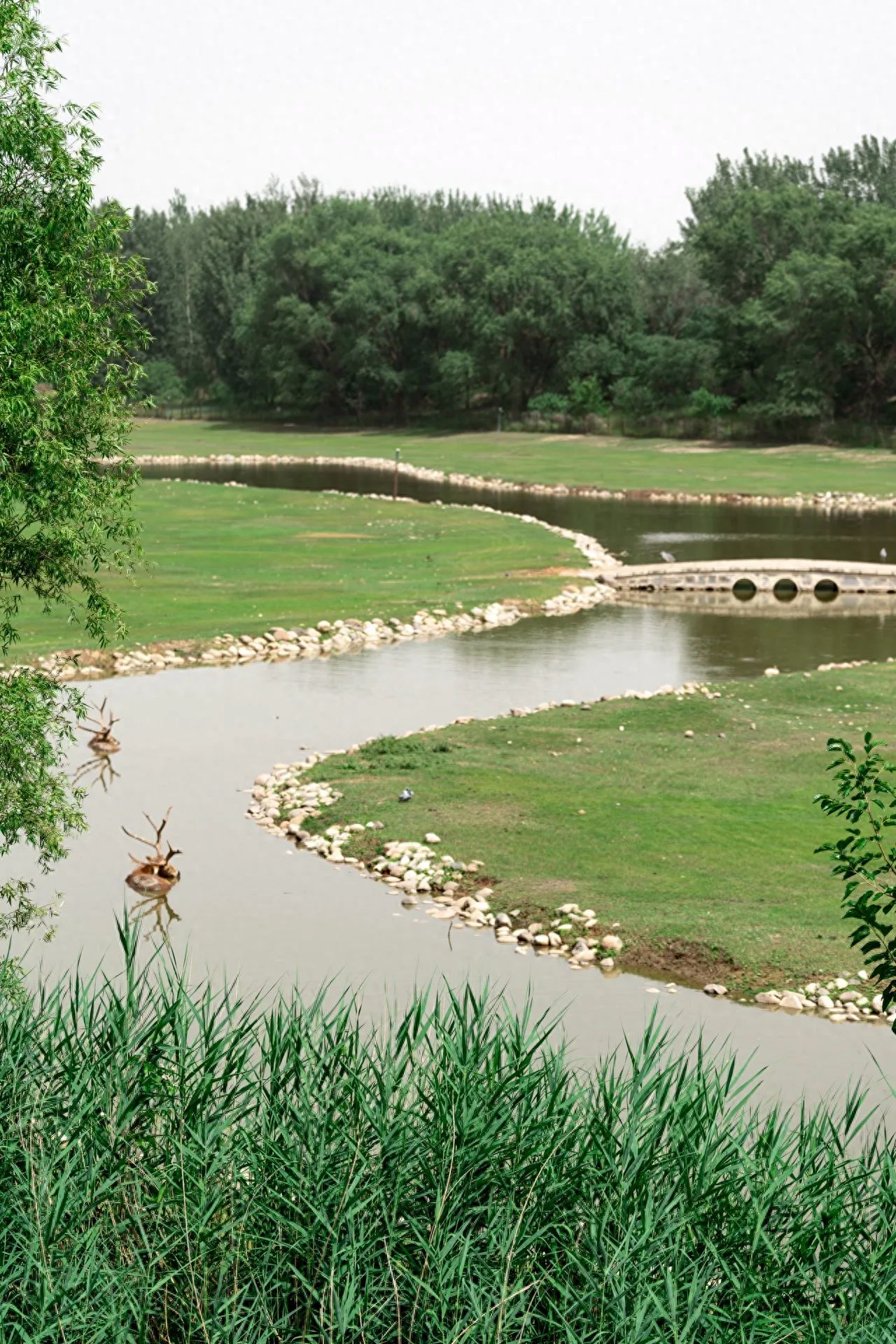 Photo by Nanhai Lake Park - Small River