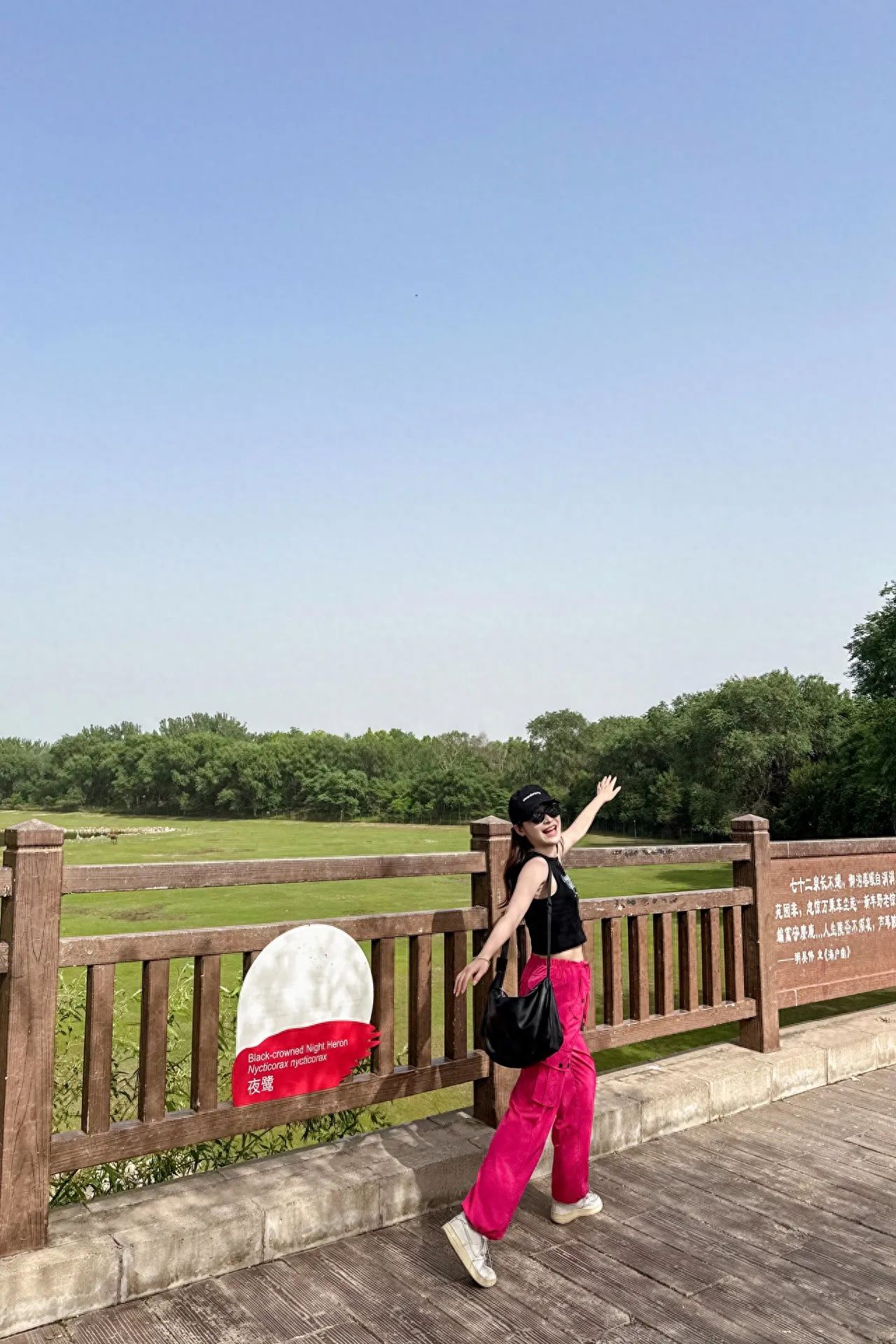 Photo by Nanhai Lake Park - Night Heron Scenic Area Front