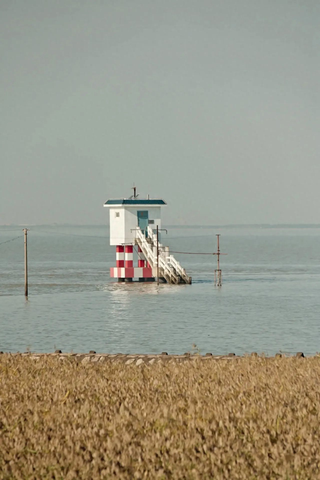 1. Perspective: The photographer stands near the vegetation on the beach, capturing the shot from a horizontal angle.

2. Composition technique: The rule of thirds is applied, dividing the frame into the foreground vegetation, midground water and buildings, and background sky, creating a balanced and stable image.

3. Lens usage: A mid-telephoto lens is employed to compress space, making the buildings more prominent in the frame and reducing distracting elements.

Travel guide: The road that extends into the sea is located at the intersection of Dongjiang Road and Xinyao Road on Hengsha Island. Look for a sign indicating a project department and follow the path until you reach the road by the sea.

Shooting suggestion: The sunset time is generally around 5:30 PM, so it's advisable to arrive about 40 minutes earlier. Due to the high number of visitors on holidays, arriving early can help secure the best shooting angles.