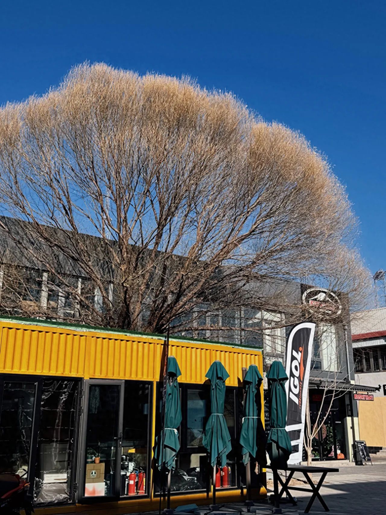 Photo by 491 Space - Big Tree Store