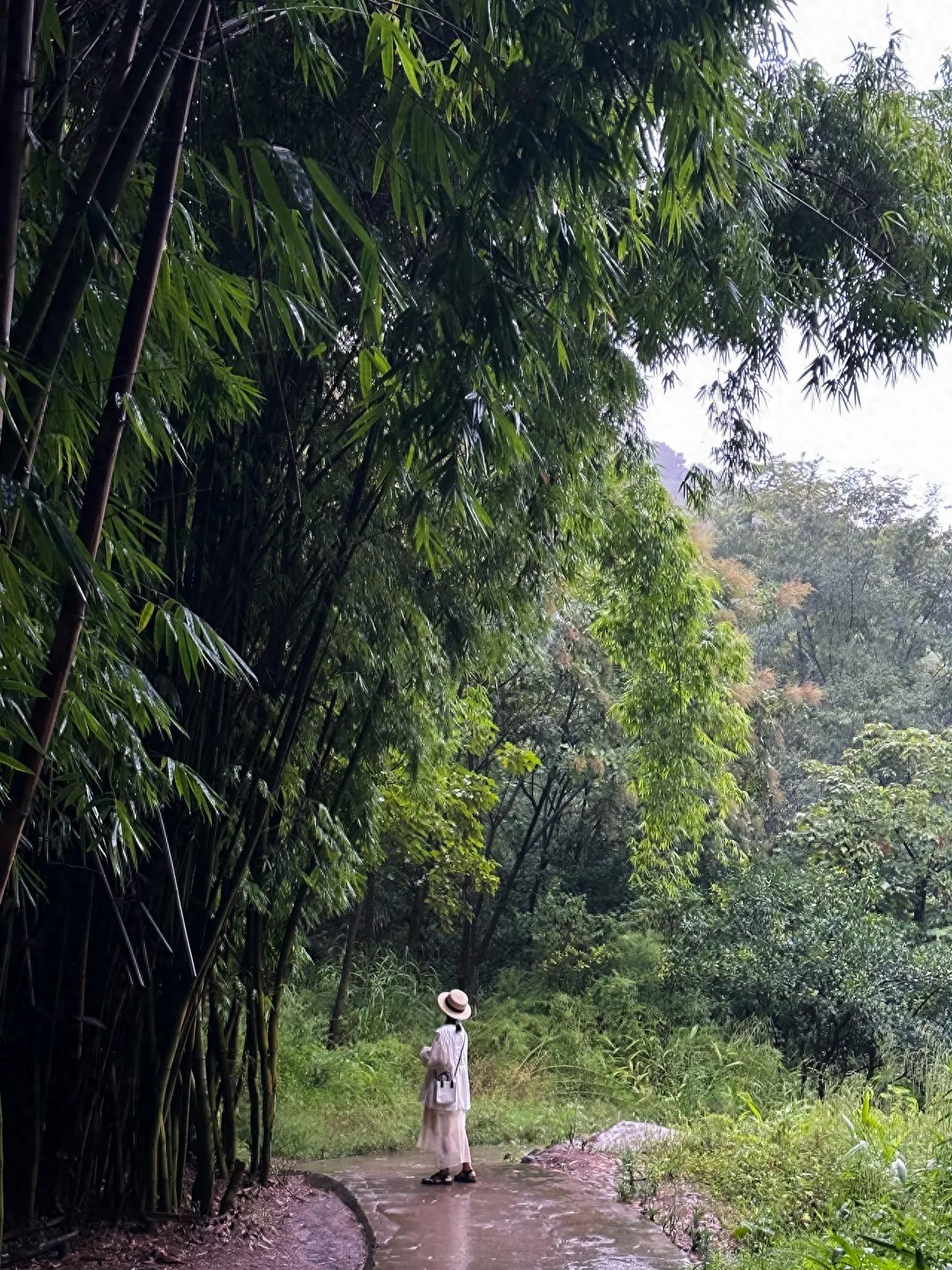 1. Perspective: The photographer stands behind the model, at a slightly elevated position, shooting from a bird's-eye view.
2. Composition technique: Employing the leading line composition, the path serves as a guide to draw the viewer's eyes towards the model. Additionally, using the frame composition with the bamboo forest as a natural frame highlights the main subject, while the vegetation in the foreground and background adds depth to the image.
3. Lens application: A standard lens is used to naturally reproduce the subject's posture, environmental details, and the bamboo forest scene.
Additional tips: The ancient village retains many ancient buildings. It is recommended to walk along the stream and into the village on foot. The bamboo forests, streams, and small bridges along the way also make for great photos. The village is quite large, not crowded, and a pleasure to explore.