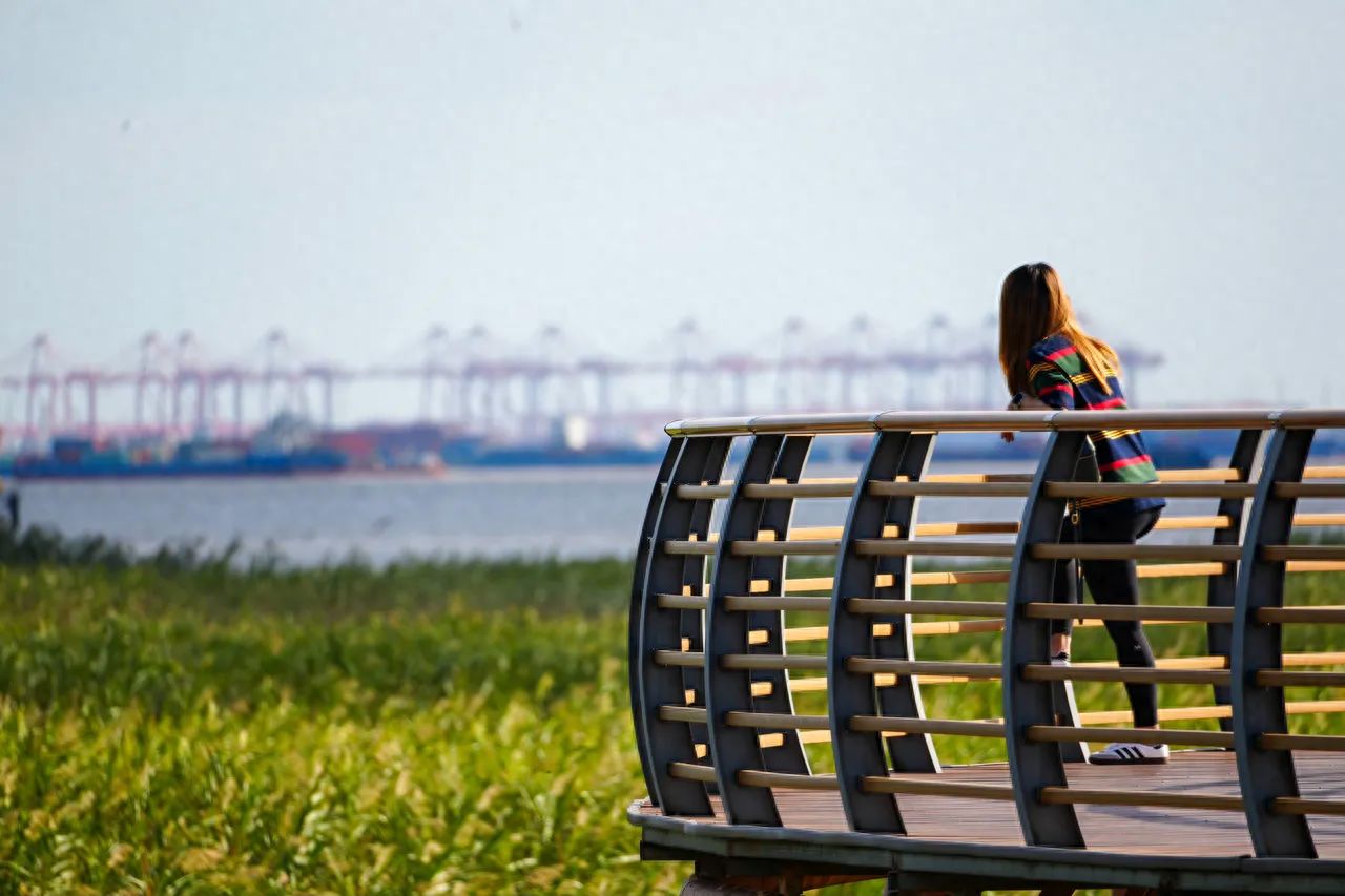 1. Perspective: The photographer takes the shot from a position behind and slightly off to the side of the model, at a similar level height to the model. This angle captures the model's back posture while fully presenting the round terrace, surrounding vegetation, and the distant port scene in the frame, providing context to the setting.

2. Composition Technique: The rule of thirds is employed, dividing the horizontal plane into three sections—sky, water and port facilities, and foreground vegetation. Vertically, the model is positioned close to the right third of the frame. The curved railing of the terrace acts as a leading line, directing the viewer's gaze towards the distant port, enhancing the sense of depth in the image. The contrast between the foreground vegetation and the background industrial facilities highlights the integration of the main subject, the model, with the environment.

3. Lens Usage: A mid-telephoto lens is used for shooting. This compresses the background port facilities while keeping the foreground vegetation and the model in clear focus, with the background appropriately blurred.