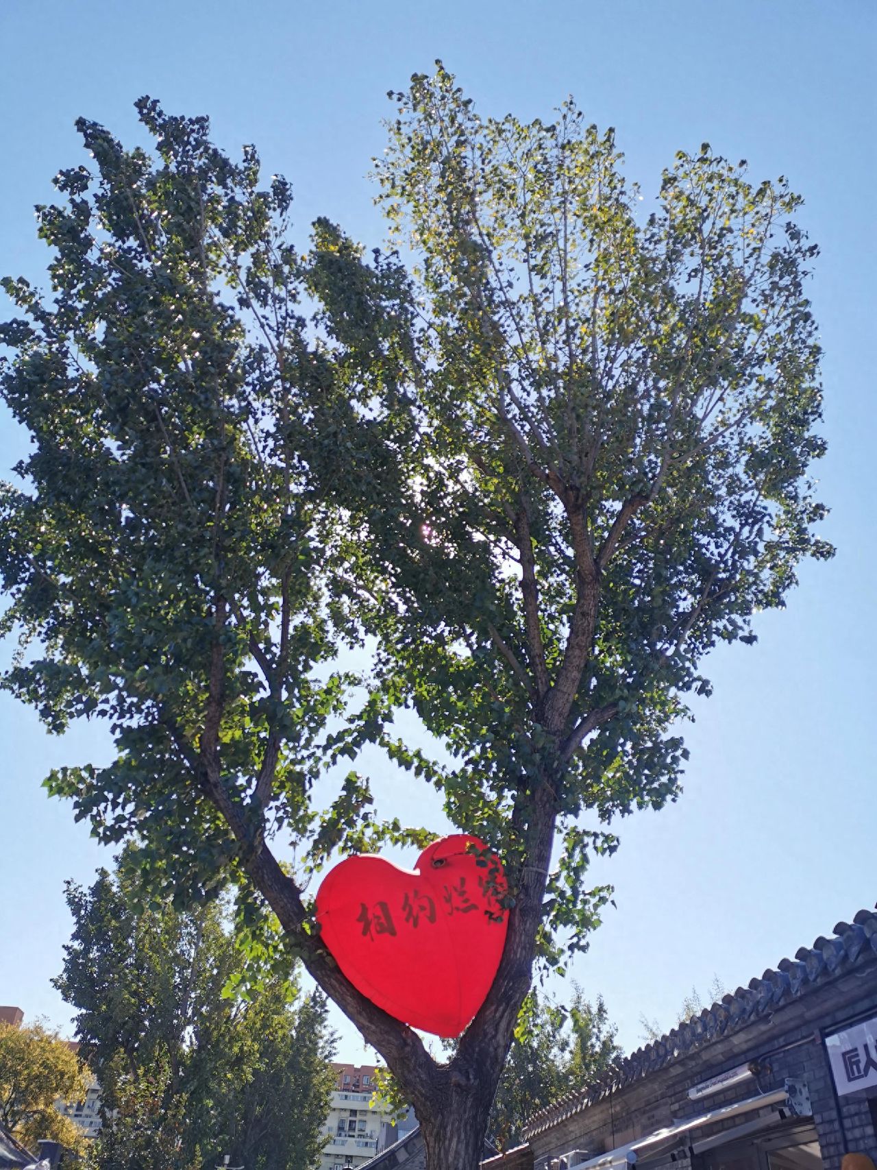 Photo by Lanman Hutong - Heart-shaped Installation Tree Architecture