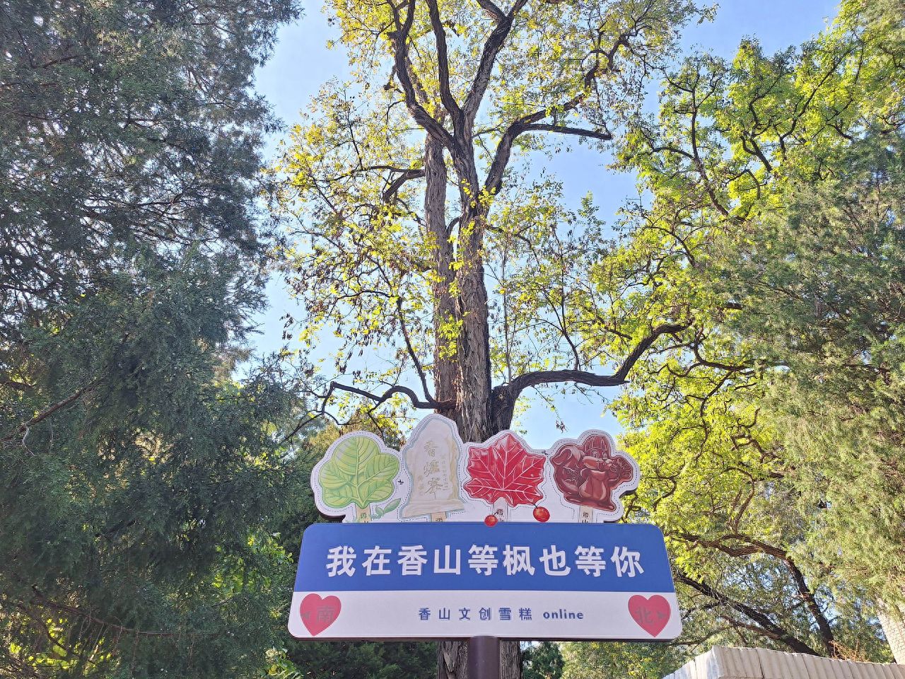 Photo by Beijing Fragrant Hills Park - I'm waiting for the maple leaves at Fragrant Hills and also waiting for your guidance sign