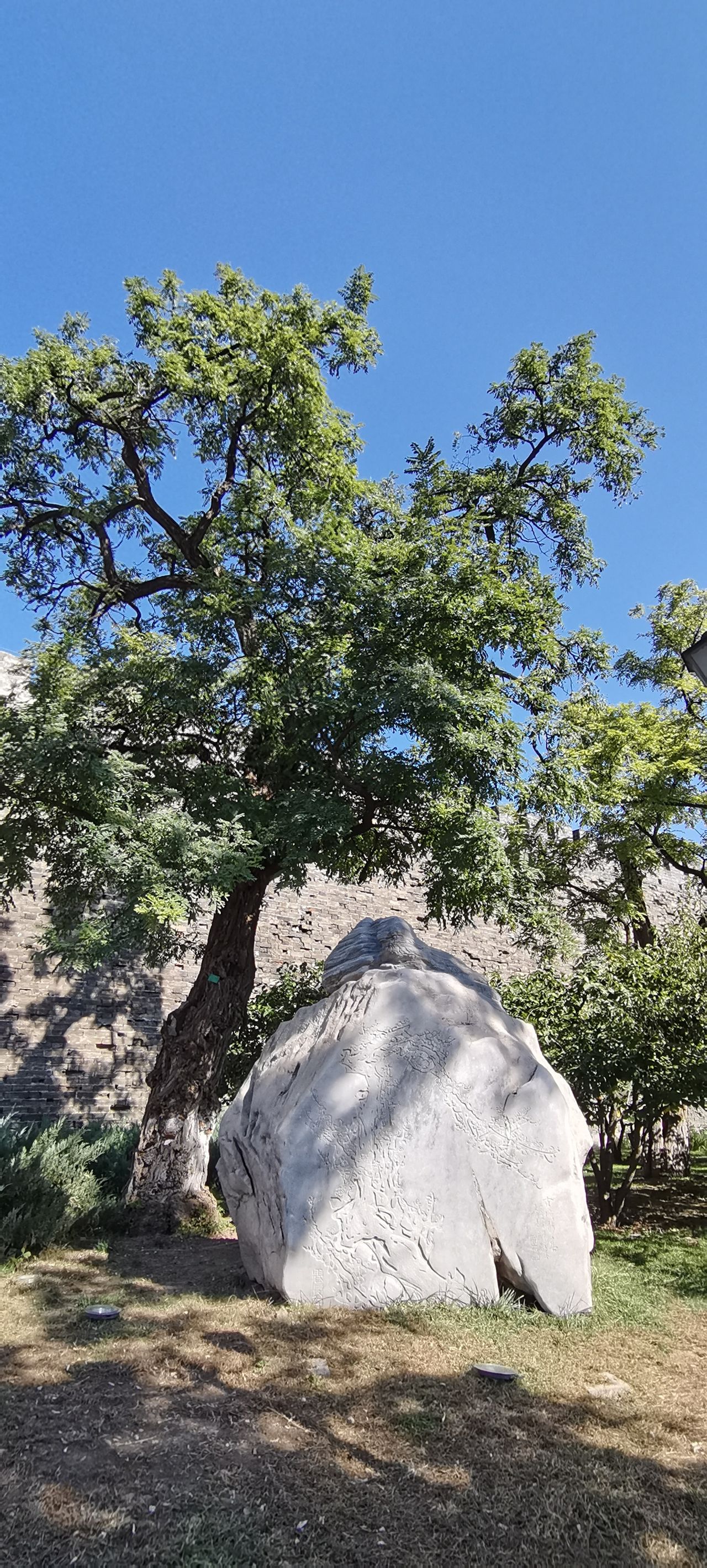 Photo by Ming City Wall Ruins Park - Relief Pattern Stones and Trees