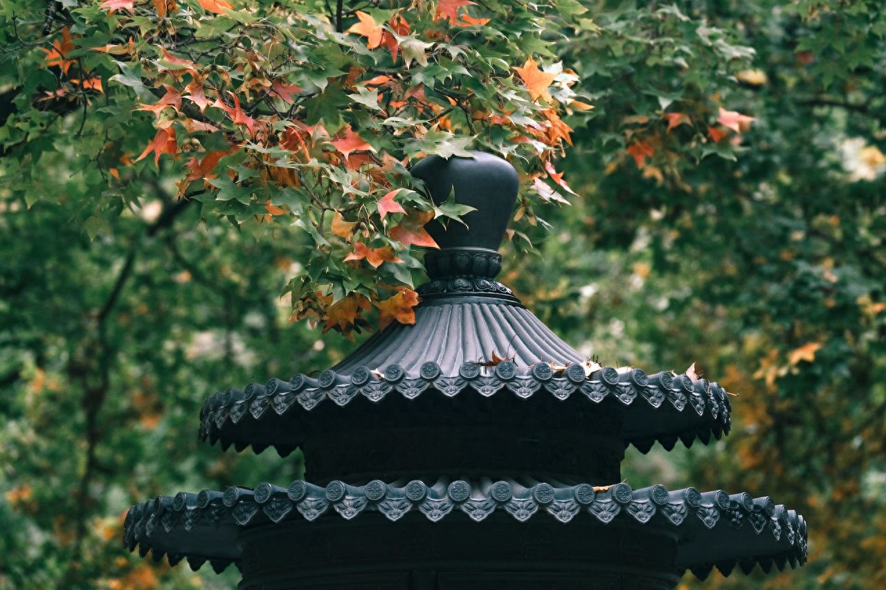 Photo by Beijing Xiangshan Park - Close-up of the Censer Top and Tree Branches