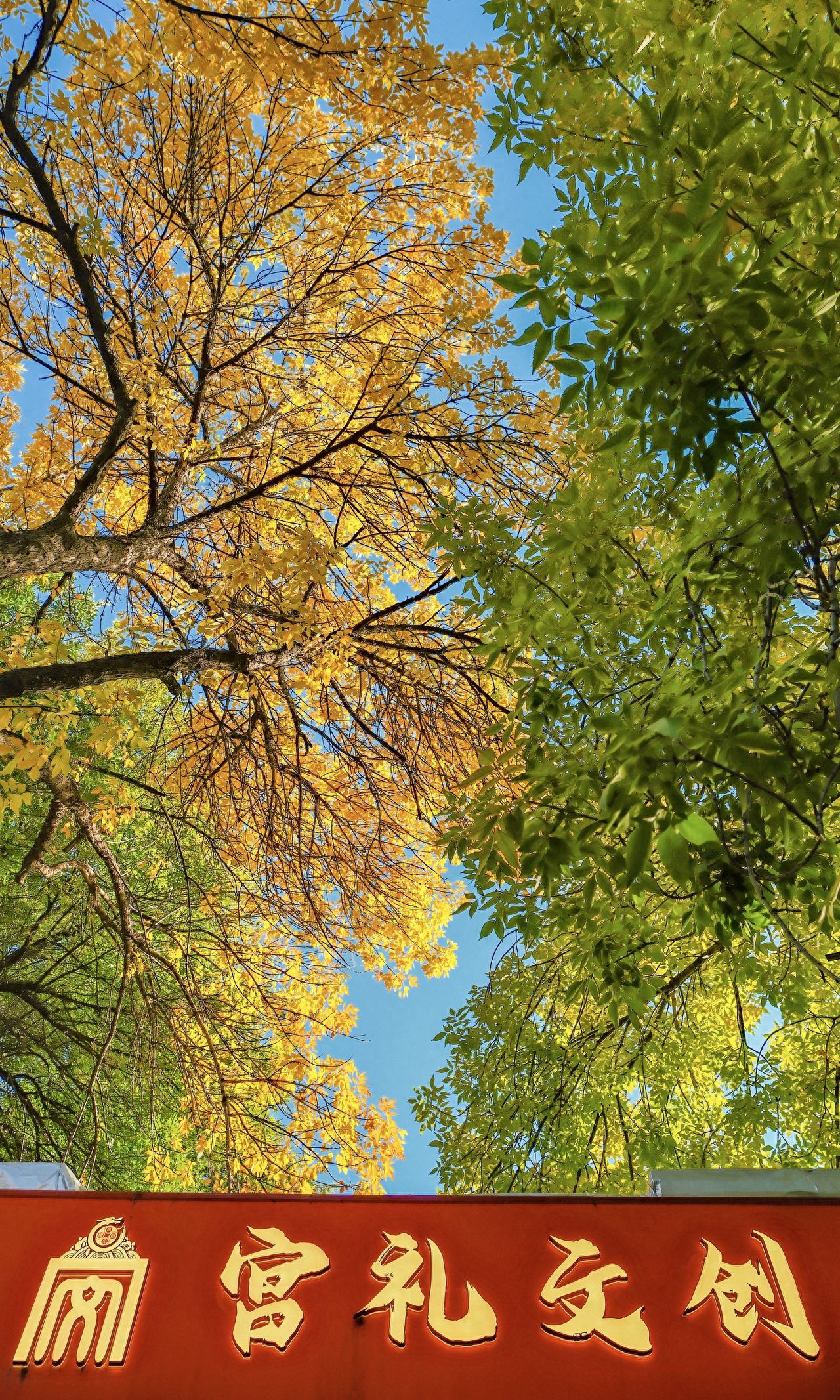 Photo by The Palace Cultural and Creative Store at Qianmen Street - Store Sign and Autumn Trees