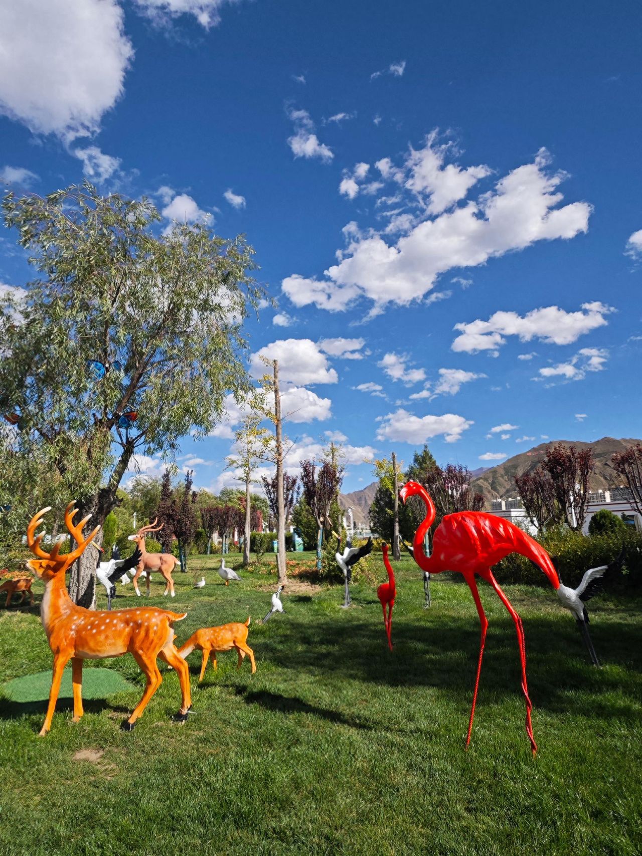 Photo spot in Lhasa Binhe Park, China