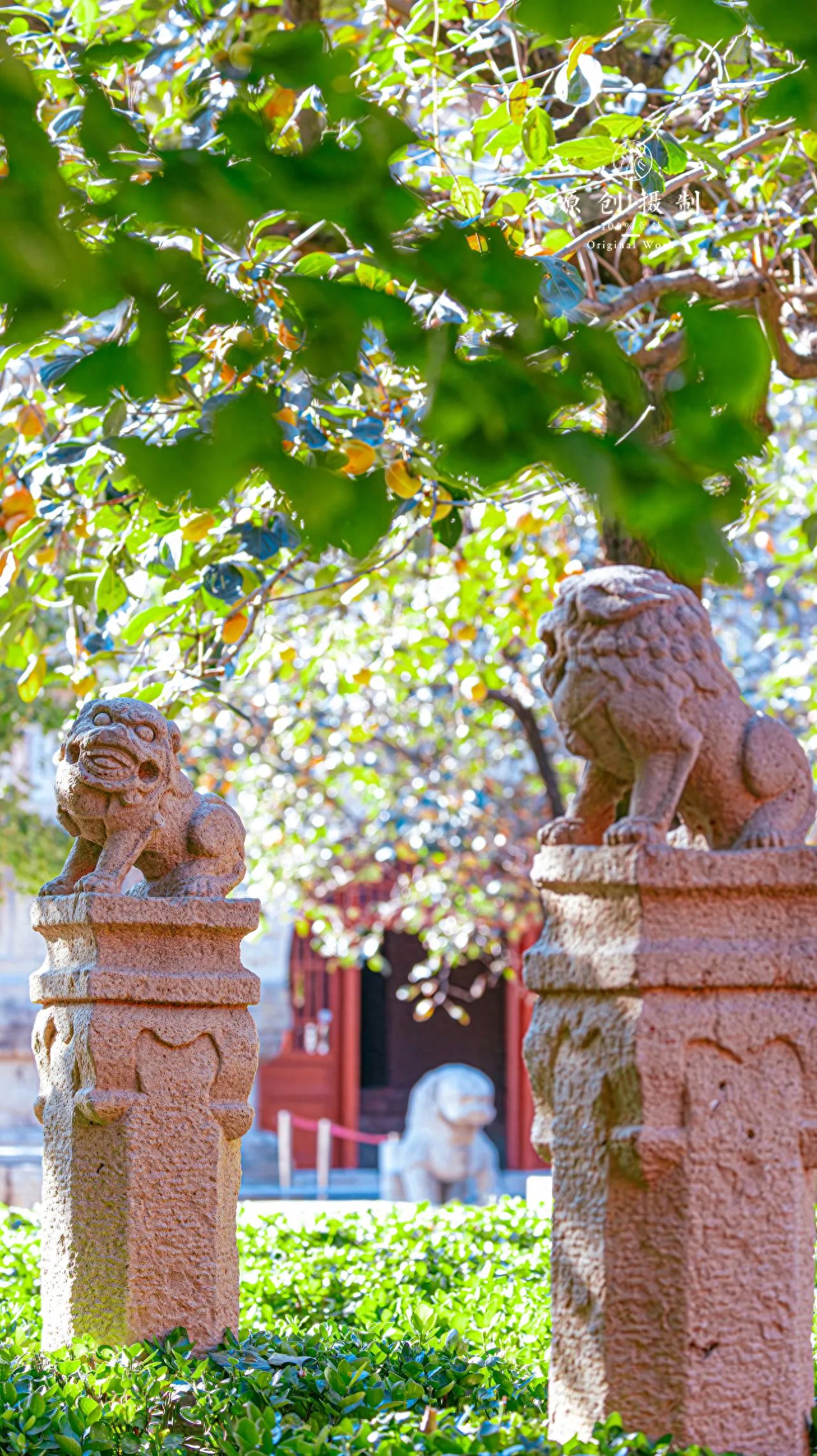 Photo by Beijing Stone Carving Art Museum - Stone Lion Sculptures and Temple Architecture