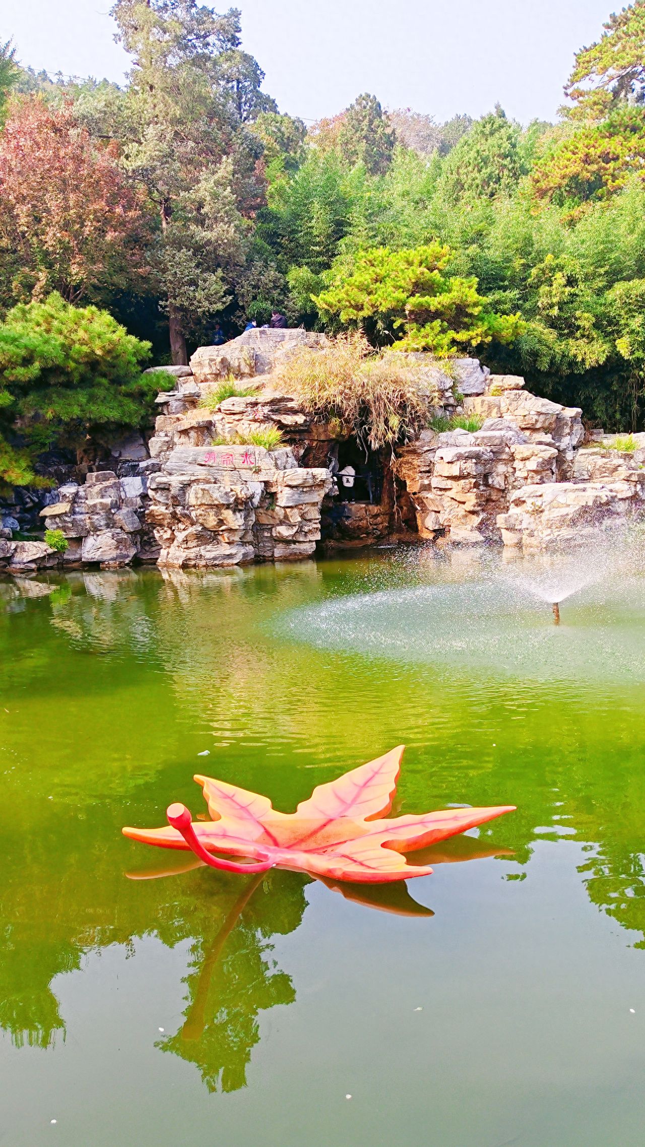 Photo by Beijing Fragrant Hills Park - Pond Surface Maple Leaf Installation and Water Curtain Cave