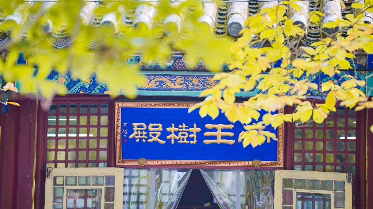 Photo by Tanzhe Temple - Branches and Blue Plaques