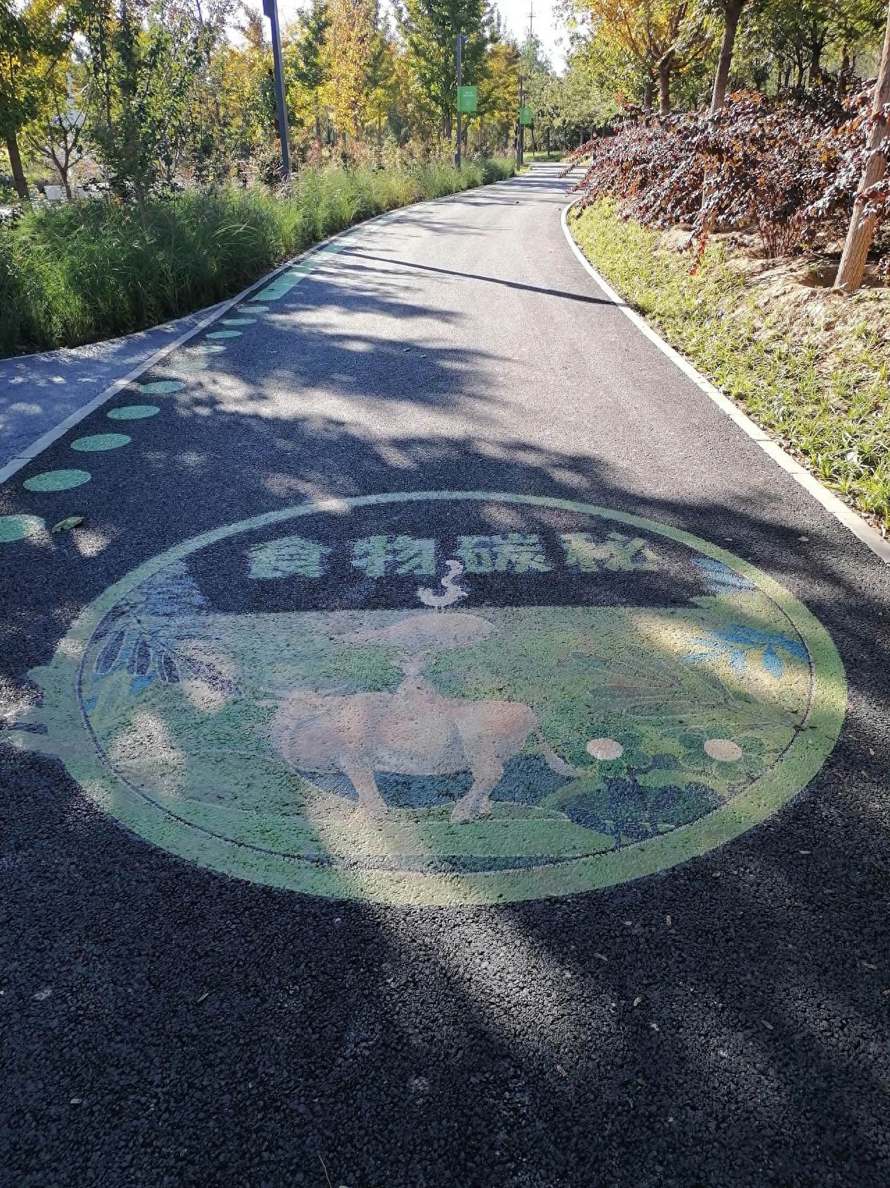 Photo by Beijing Wenyu River Park - Food Exploration Ground Graffiti Shooting
