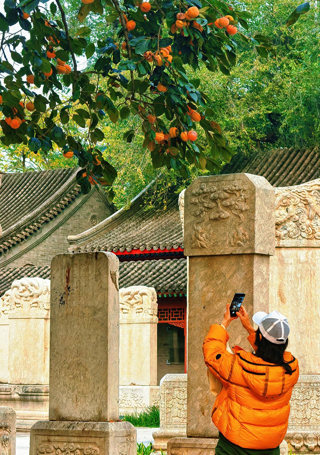 Photo by Beijing Stone Carving Art Museum - Take a photo with the persimmon tree and stone stele.