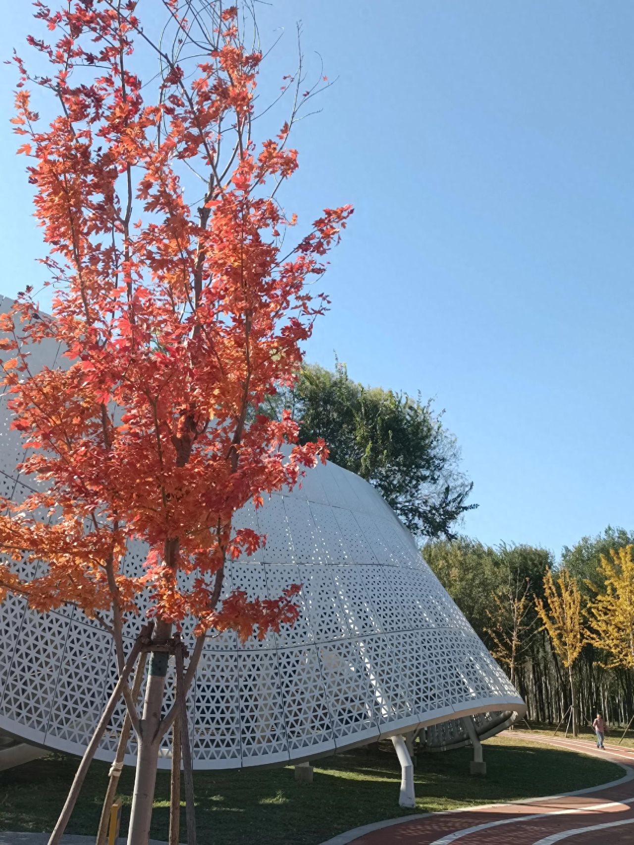 Photo by Wenyu River Park - Trail with Red and Yellow Trees and White Wave Installation