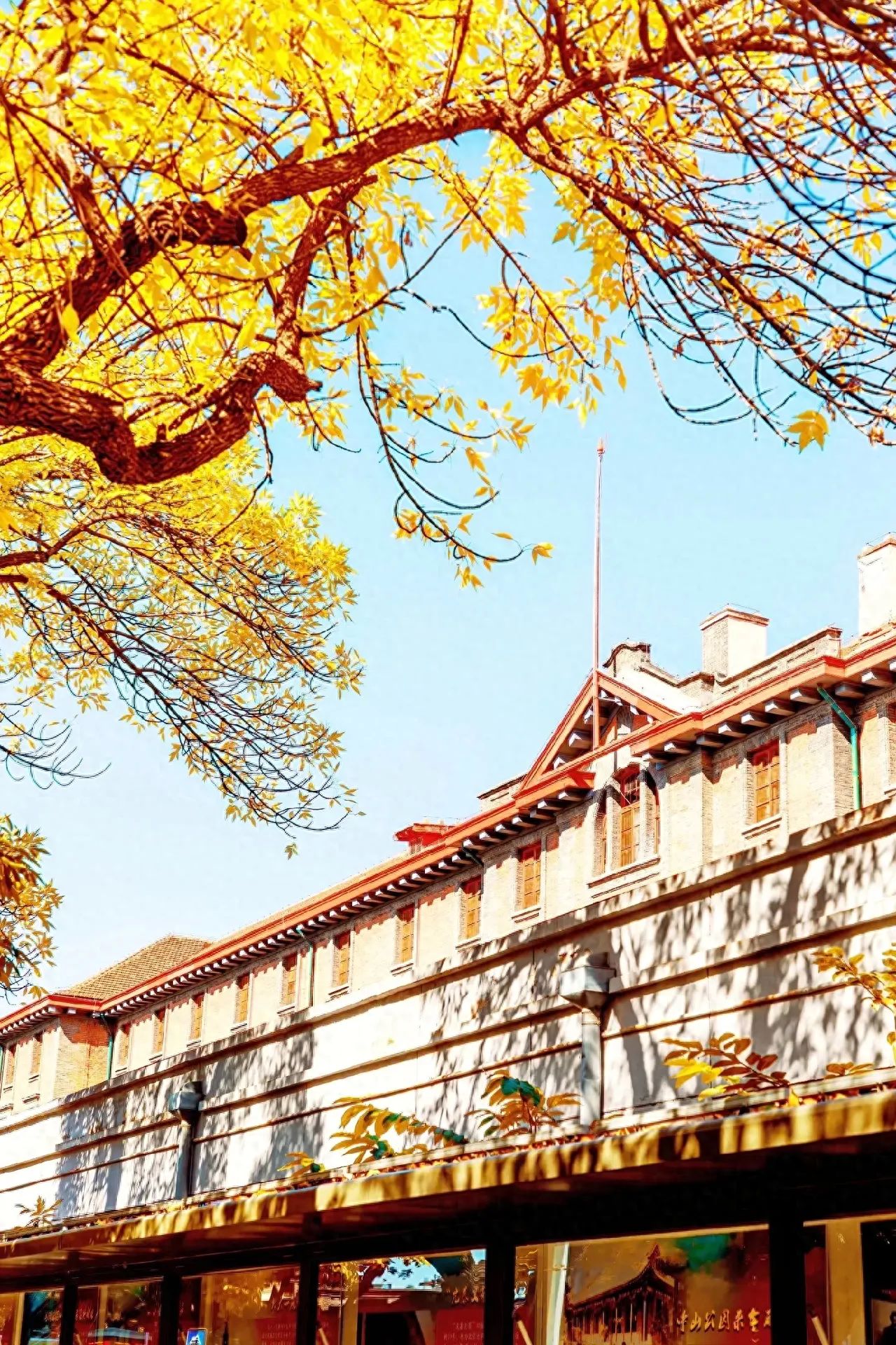 Photo by Beijing May 4th Street - Fraxinus Trees and Architecture