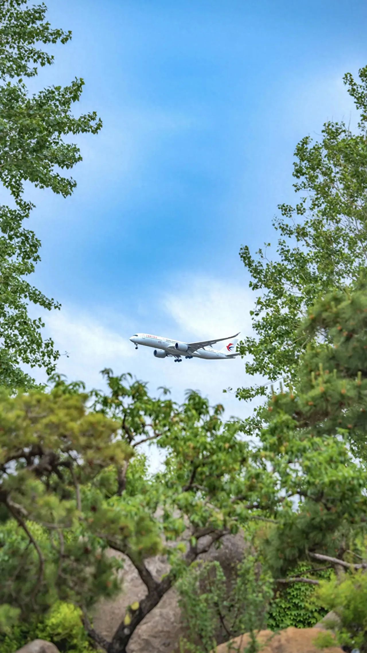 Photo by Luo Hong Photography Art Museum - Sky and Trees Shot from Below