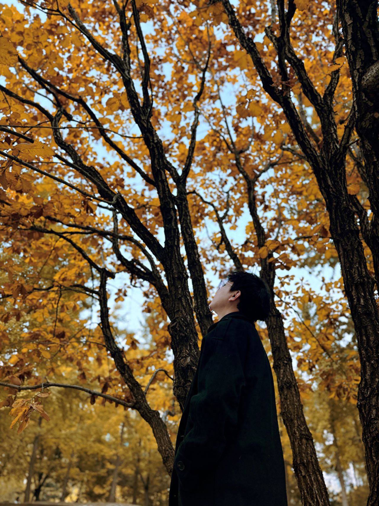 Photo by Wangjing SOHO - Under the Ginkgo Trees