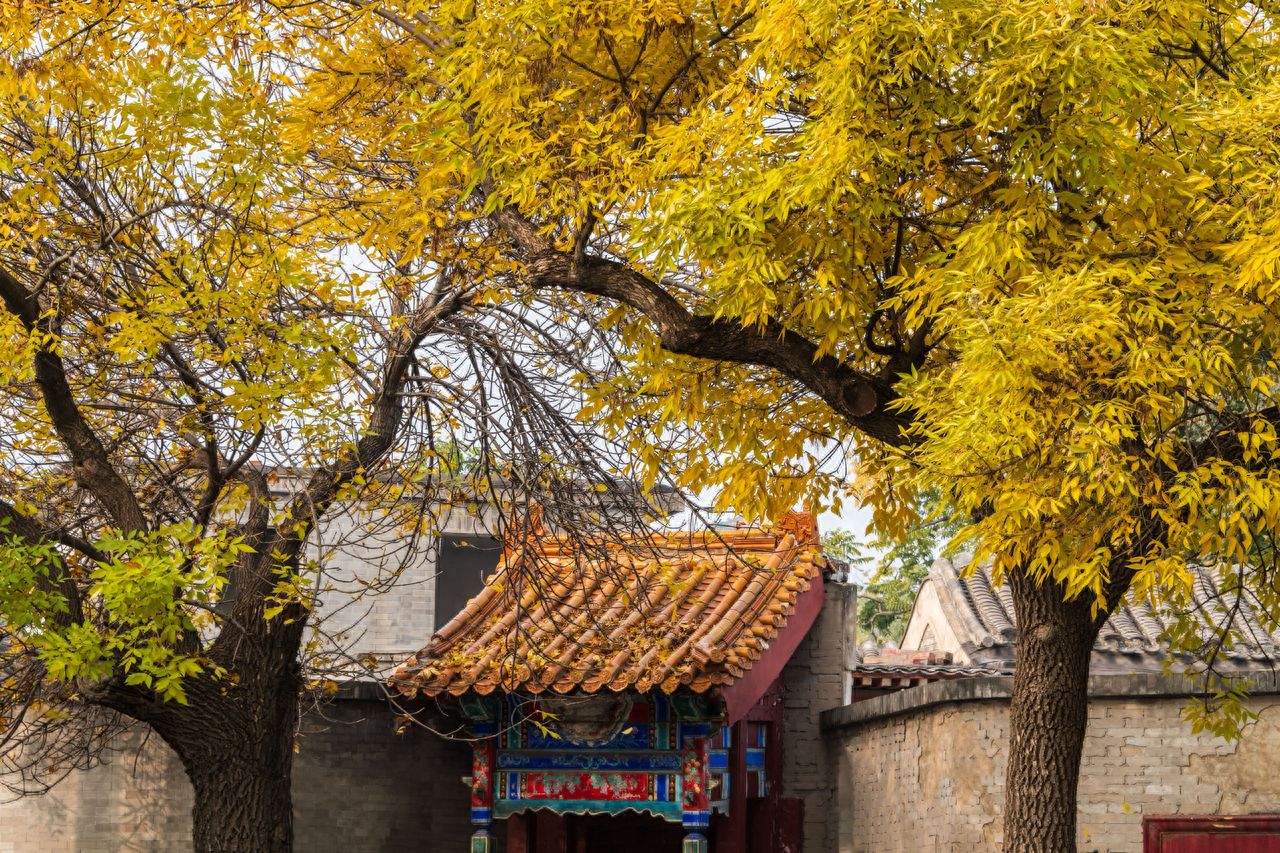 Photo by Beijing's May 4th Street - Autumn trees and ancient architectural eaves