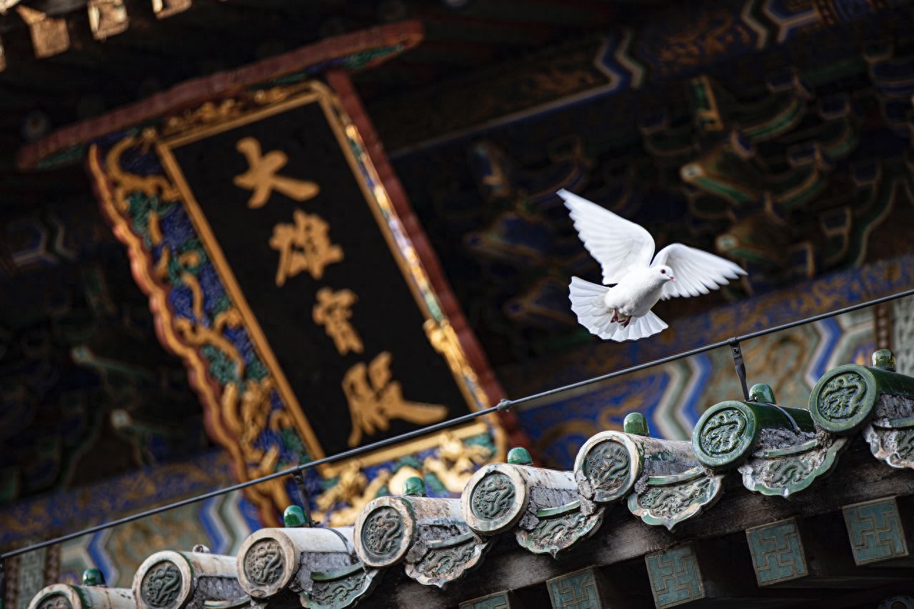 Photo by Tan Zhe Temple - Temple Eaves and Plaque