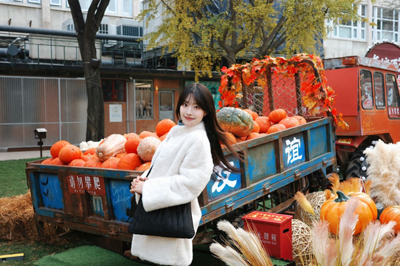 Photo by Beijing Friendship Store - Friendship Pumpkin Coach