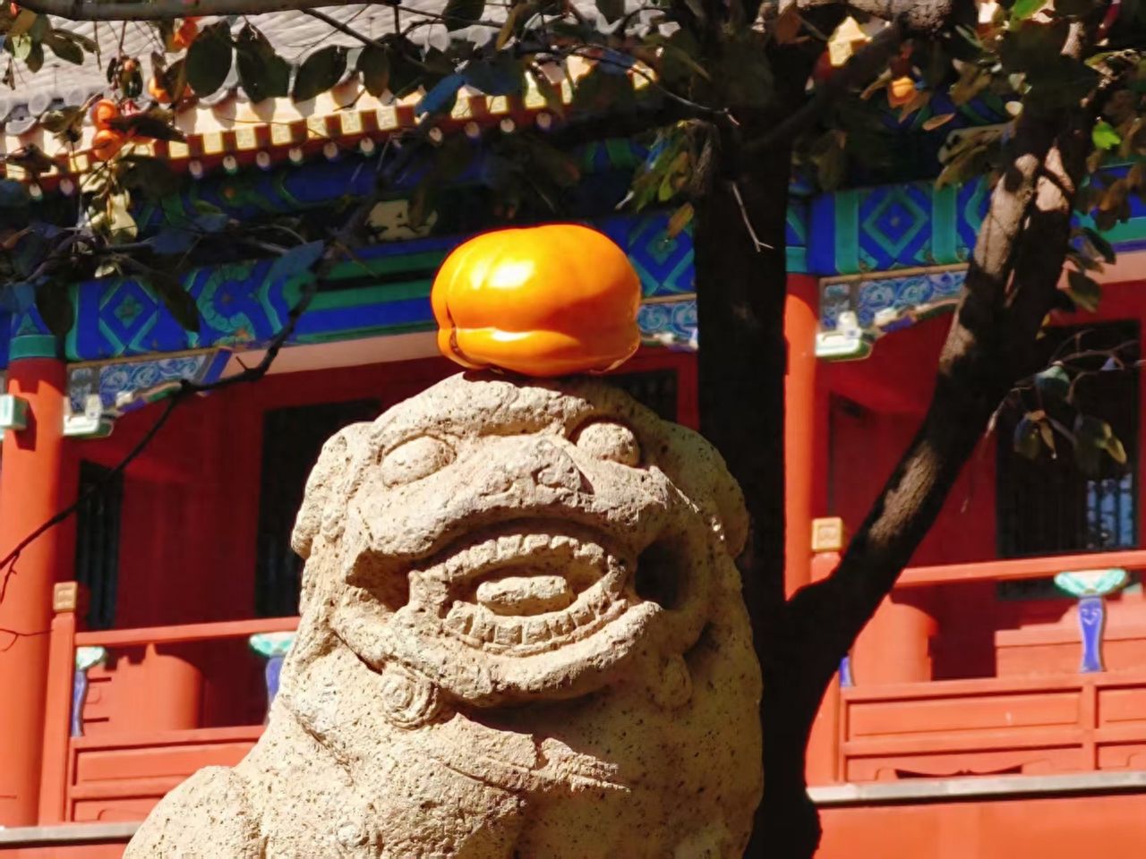 Photo by Beijing Stone Carving Art Museum - Stone Lion Sculptures and Red Architecture