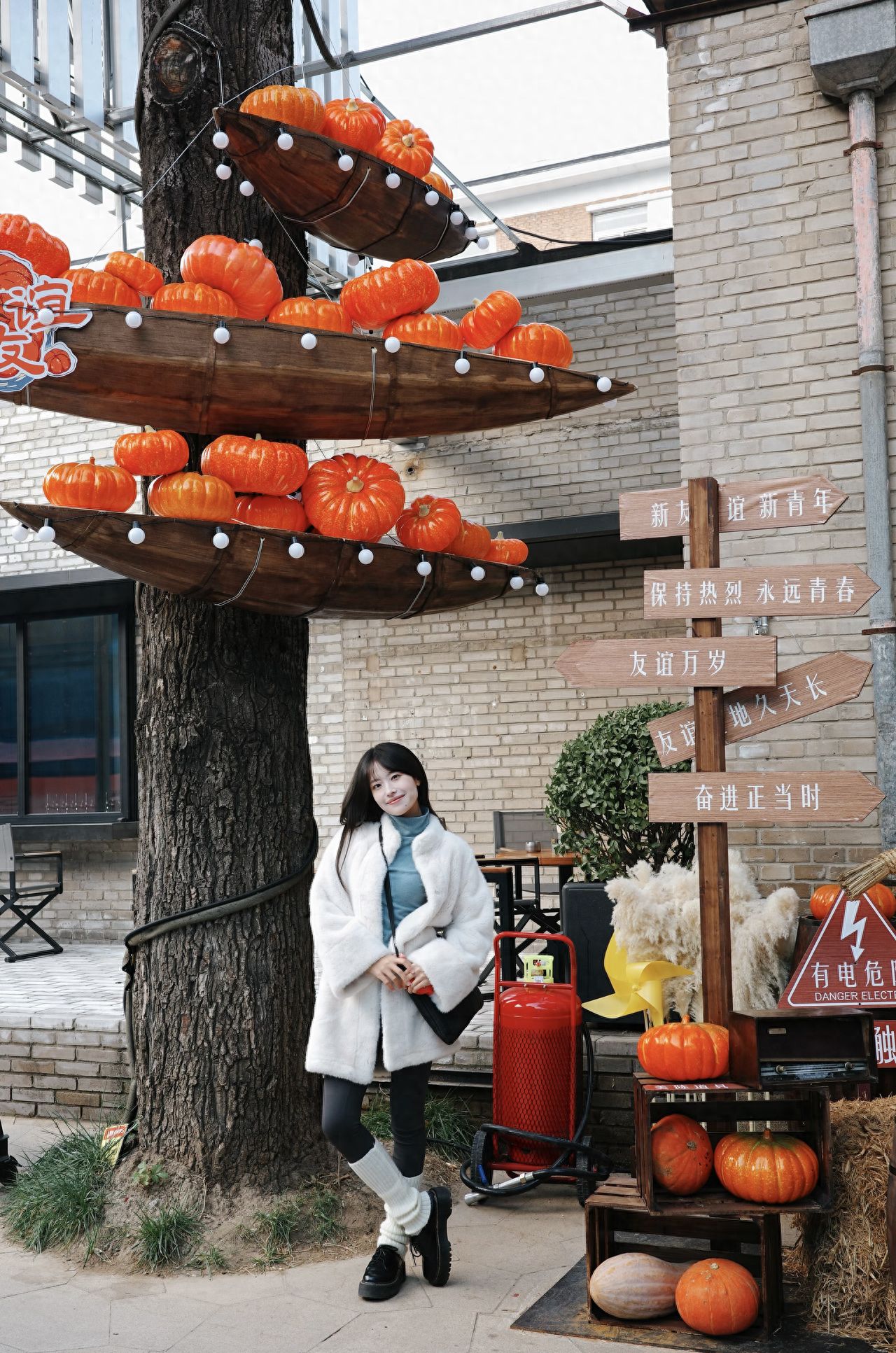 Photo by Beijing Friendship Store - Mini Boat Pumpkin Tree