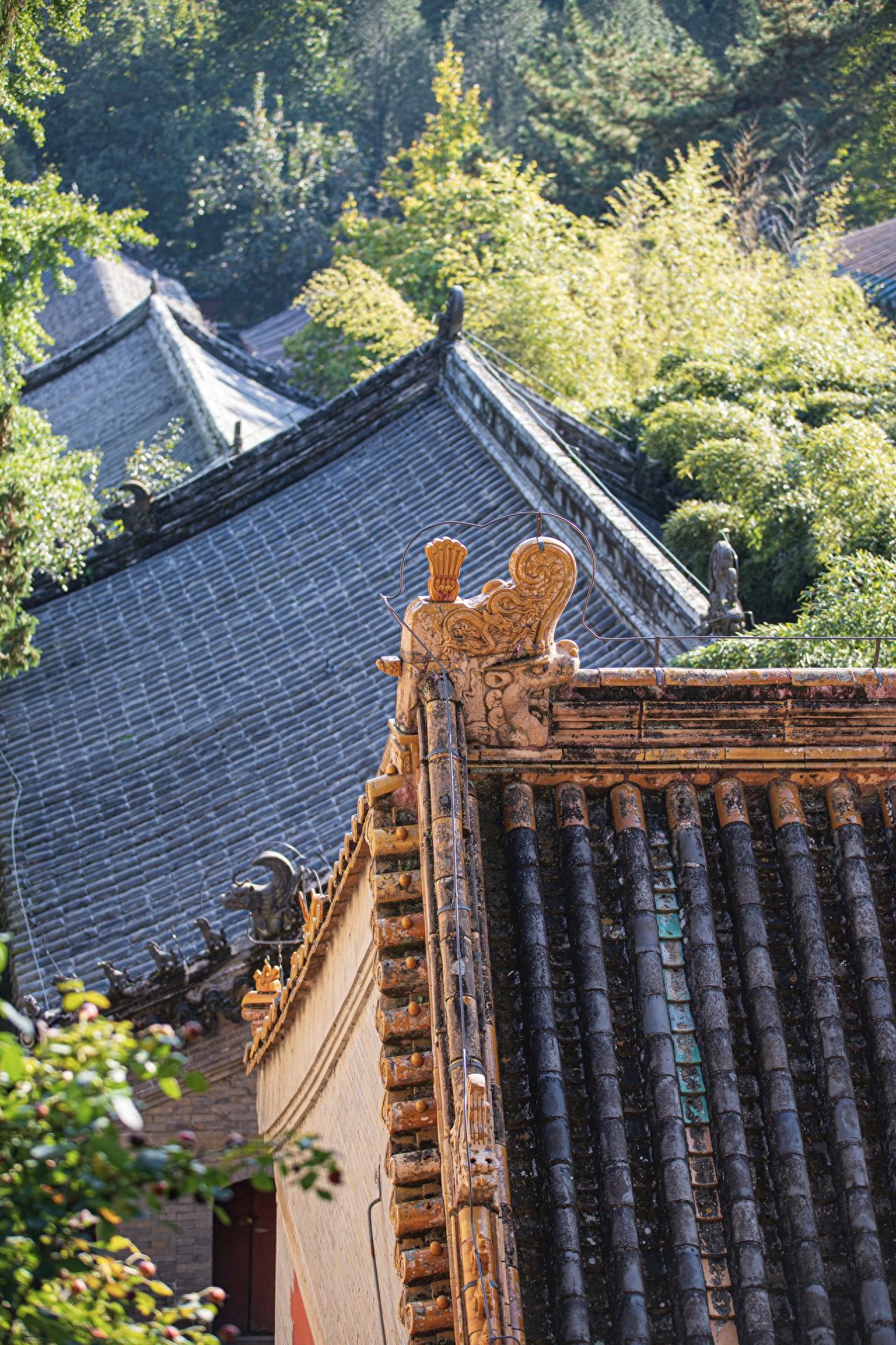 Photo by Tanzhe Temple - Ancient architectural roof tiles, ridge creatures, eaves, and mountain forests.