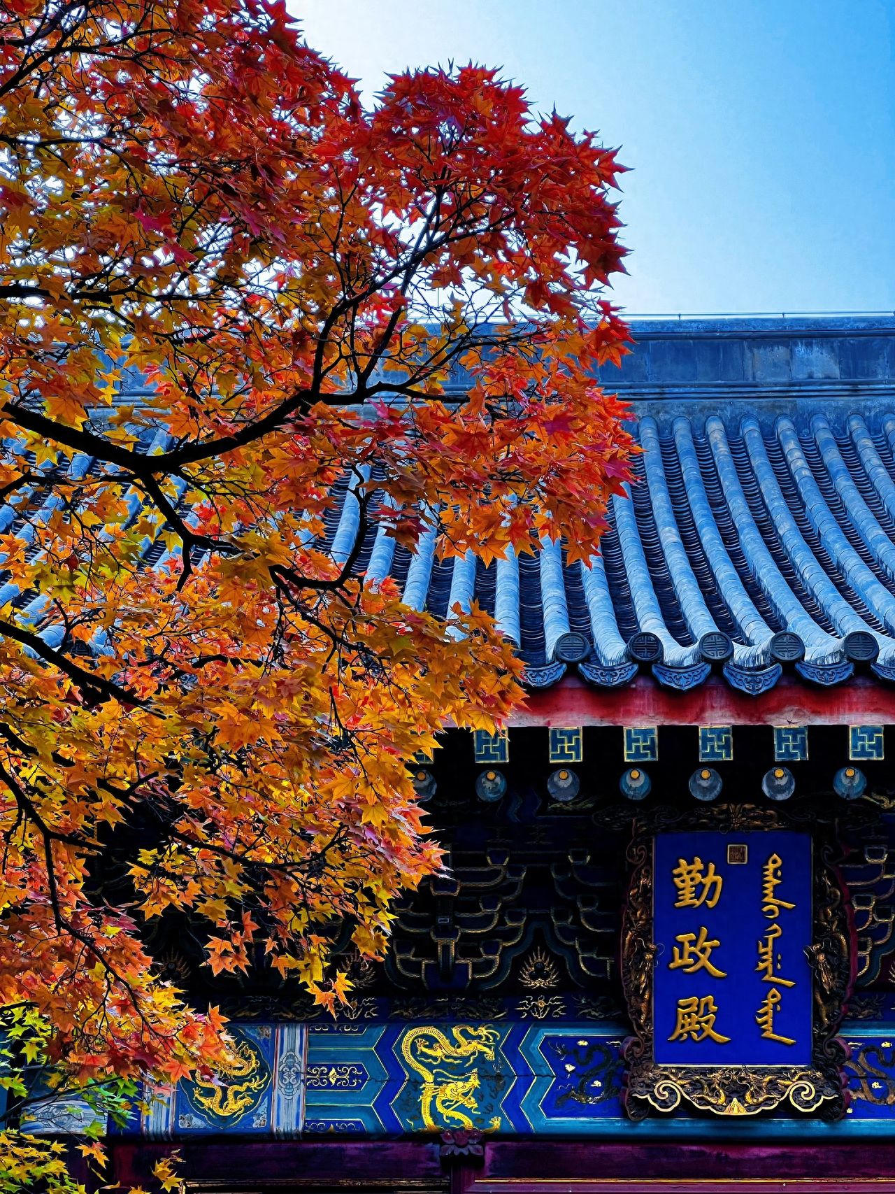 Photo by Beijing Fragrant Hills Park - Qunzheng Hall Plaque Architecture and Red Leaves
