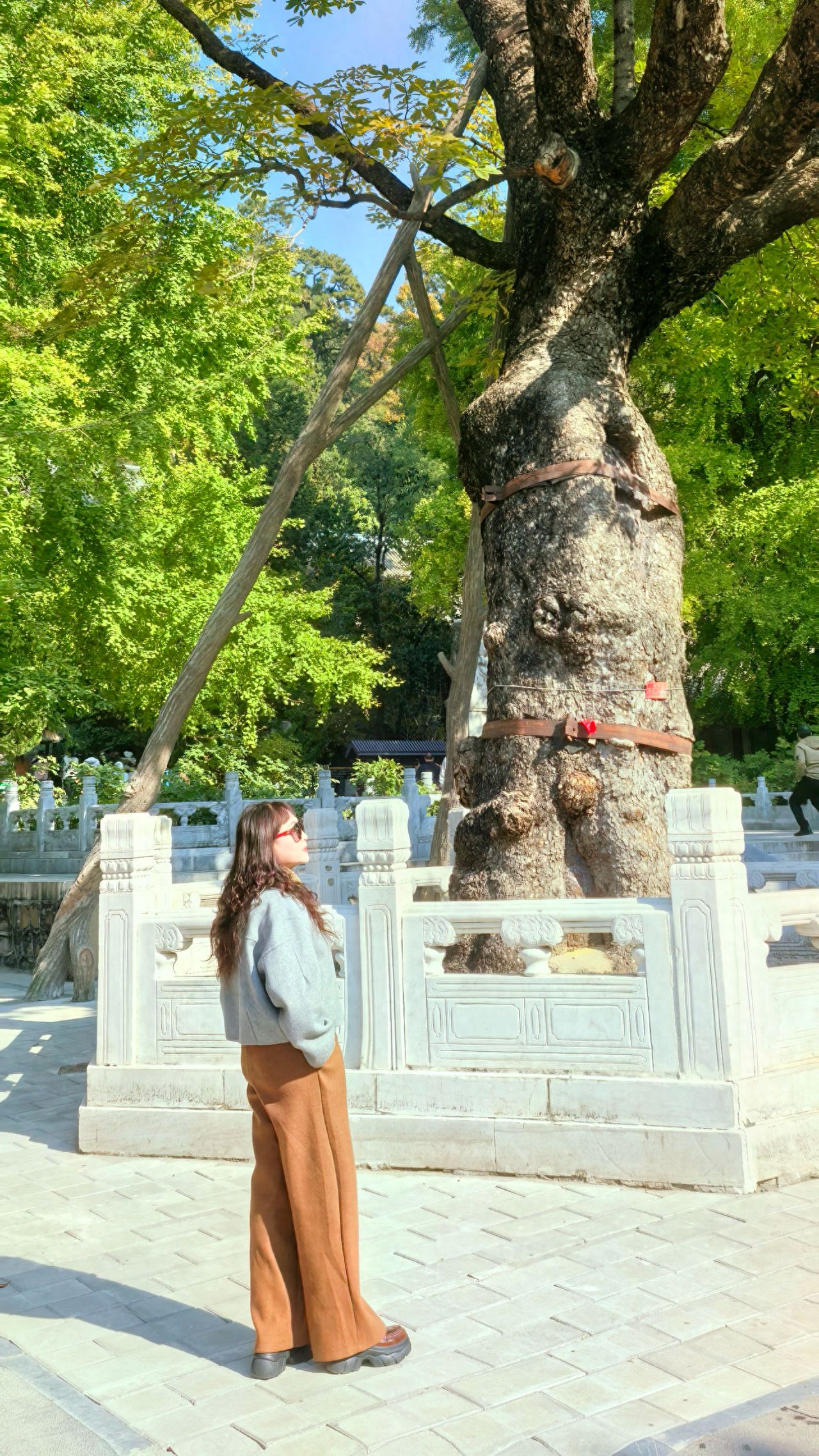 Photo by Tanzhe Temple - Take a photo with the ancient trees and stone railings that span a thousand years.
